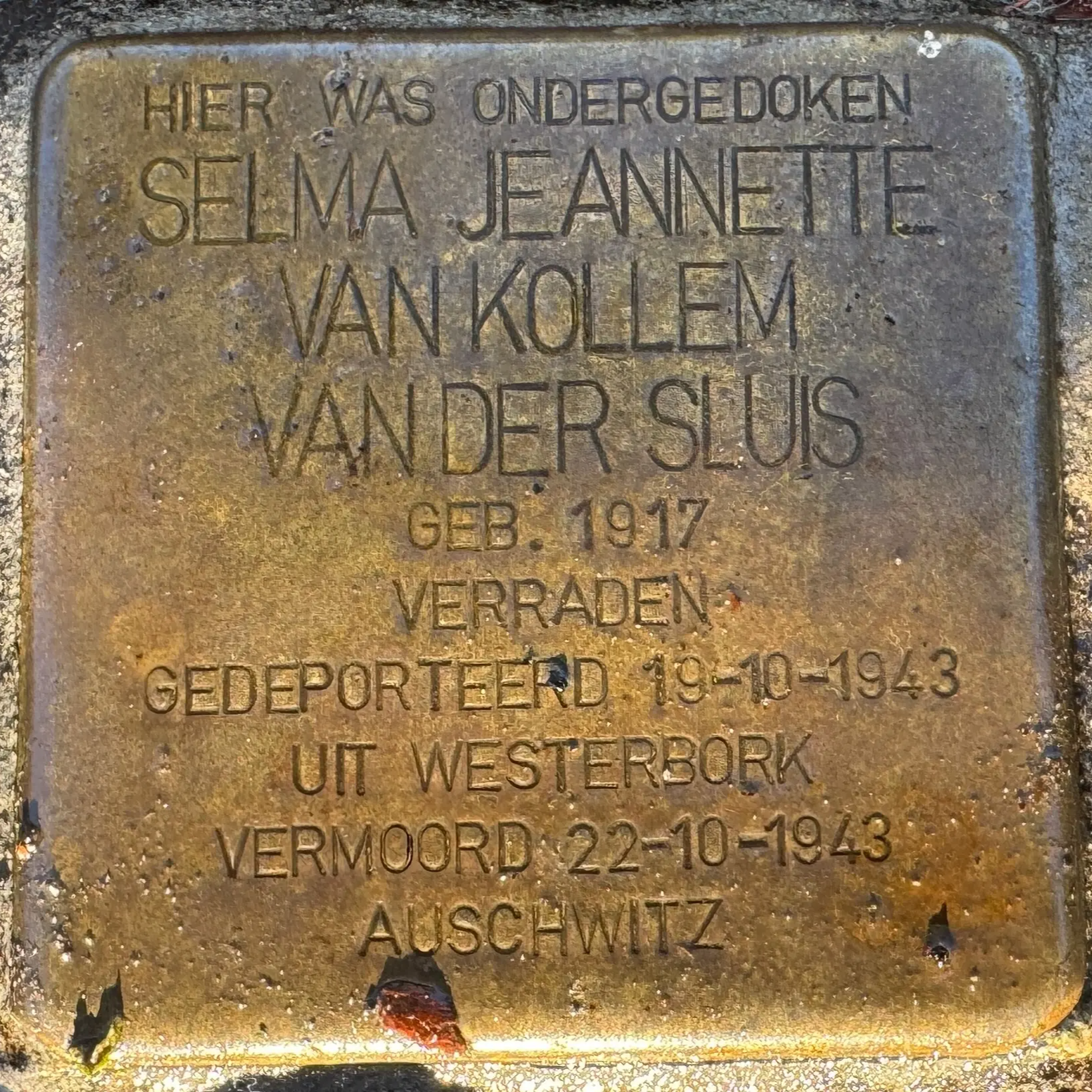 Struikelsteen voor Selma Jeannette van Kollem-van der Sluis