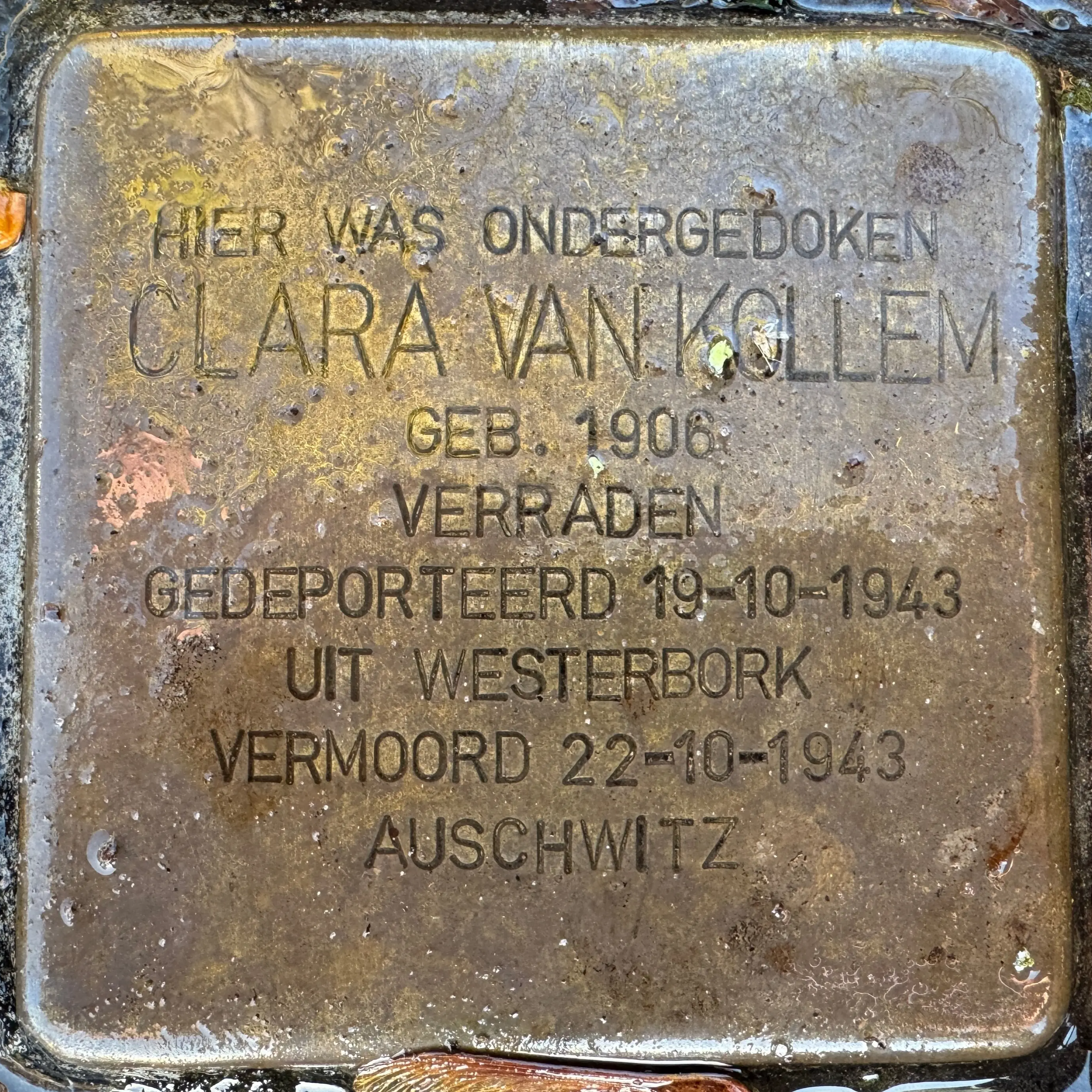 Struikelsteen voor Clara van Kollem