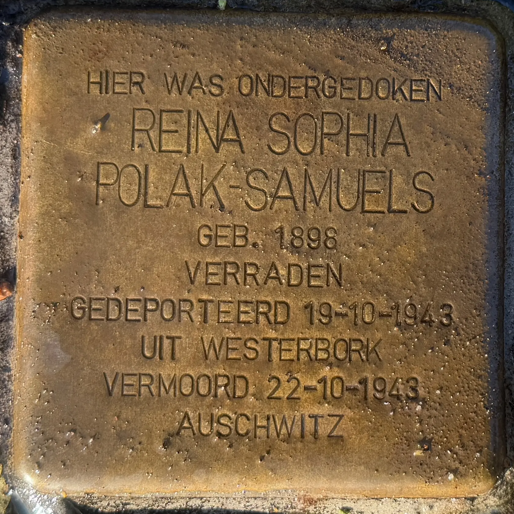 Struikelsteen voor Reina Sophia Polak-Samuels