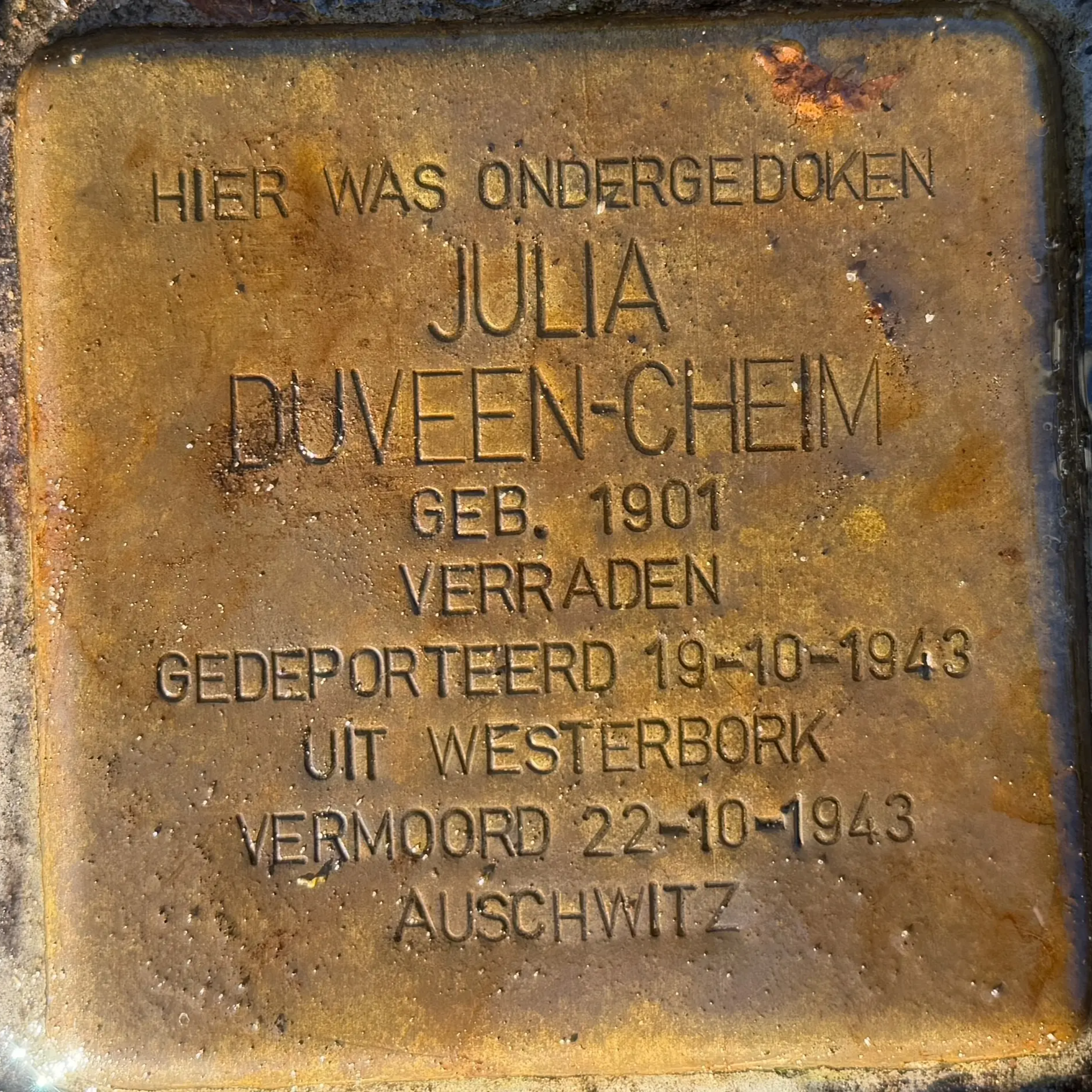 Struikelsteen voor Julia Duveen-Cheim