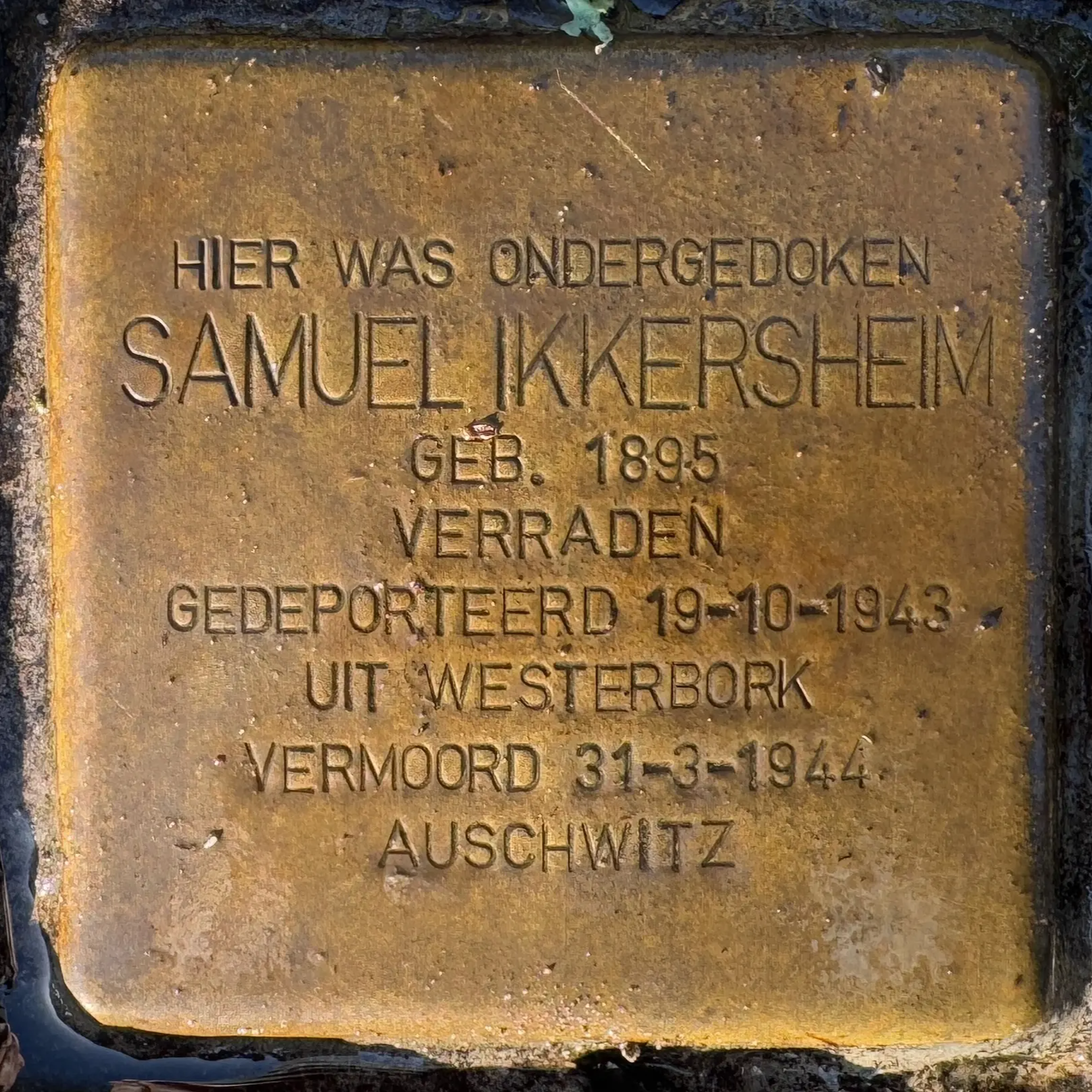 Struikelsteen voor Samuel Ikkersheim