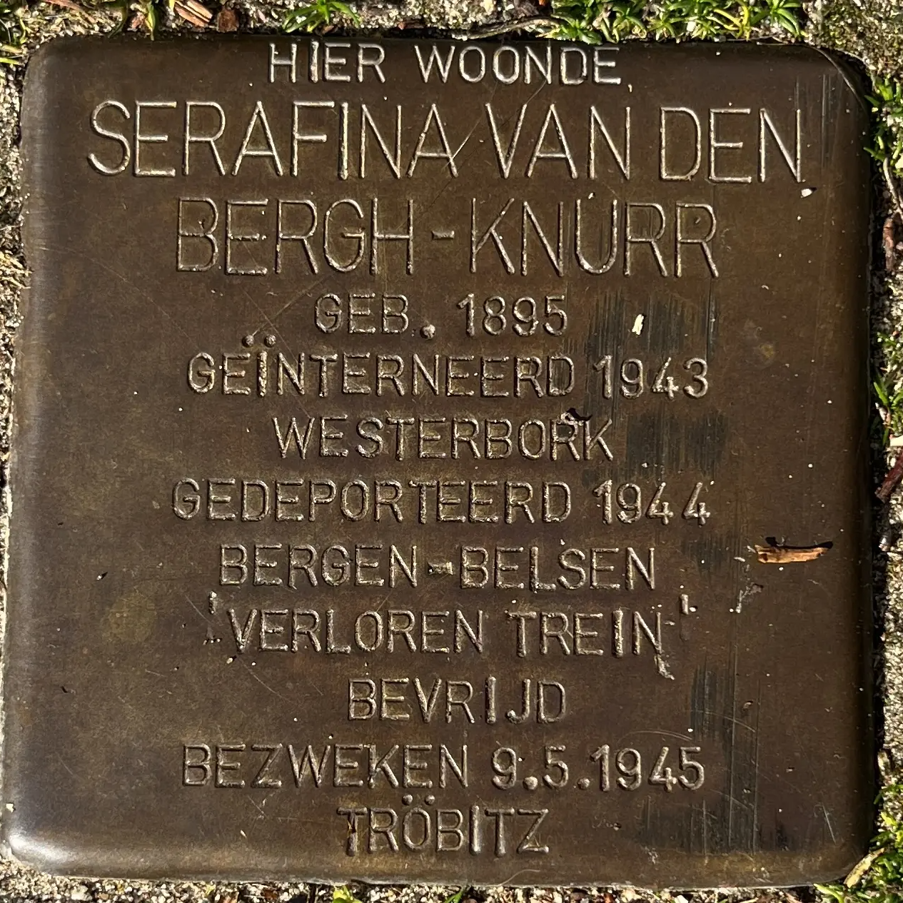 Struikelsteen voor Seraphina van den Bergh-Knurr