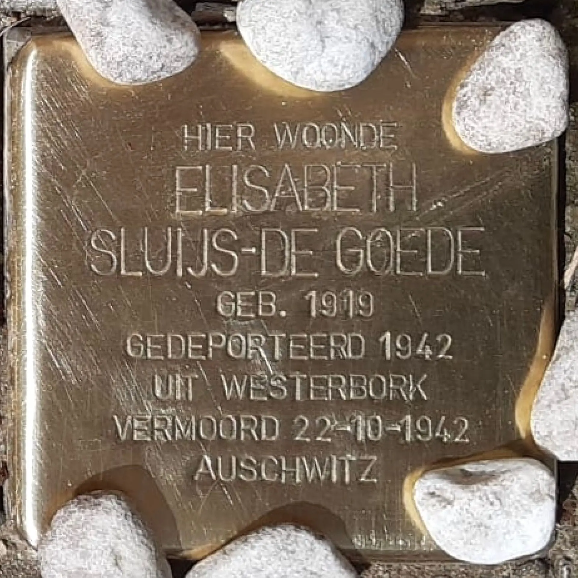 Struikelsteen voor Elisabeth Sluijs-de Goede