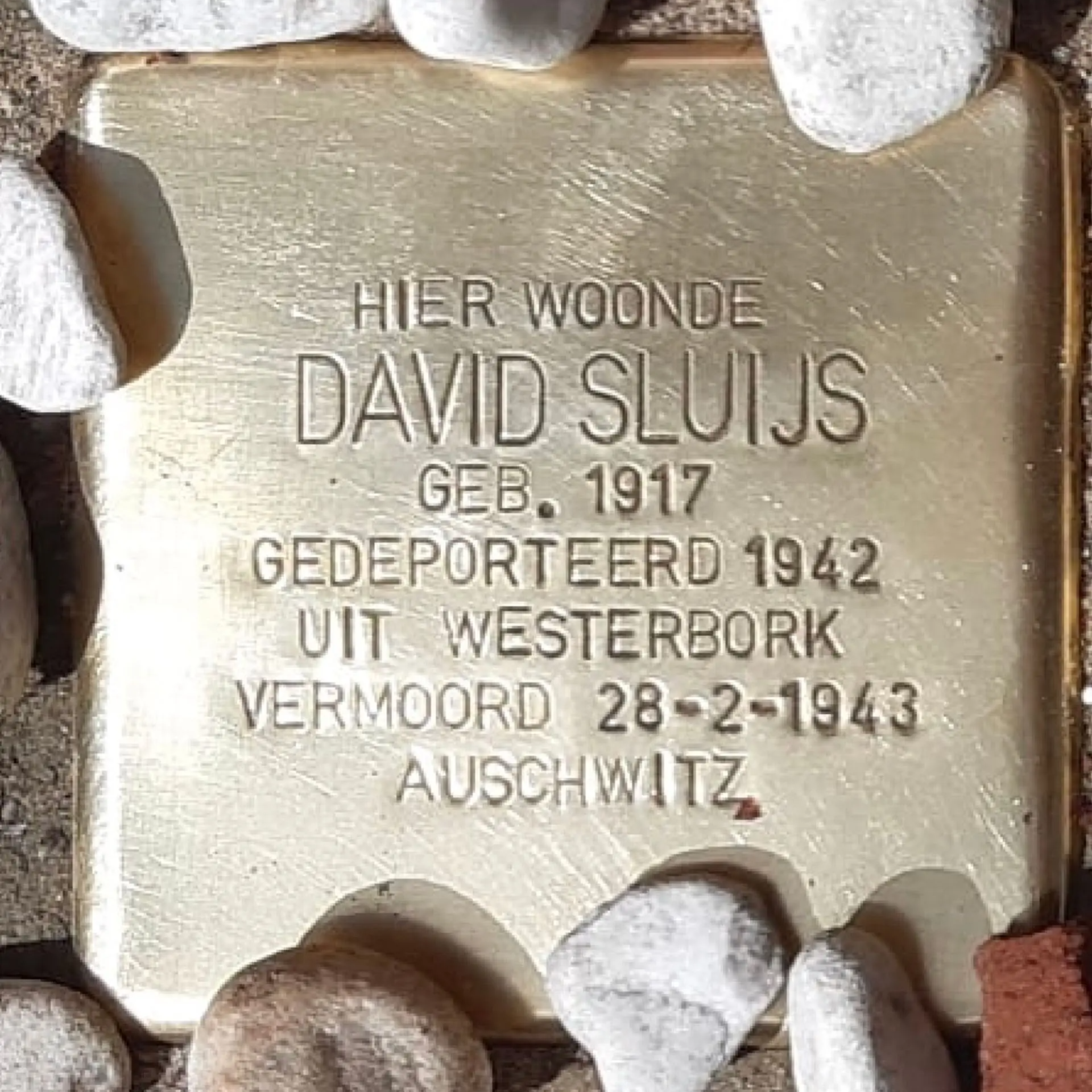 Struikelsteen voor David Sluijs