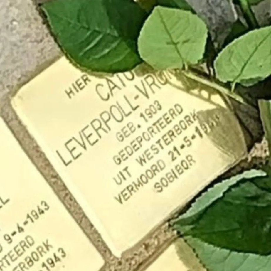 Struikelsteen voor Cato Leverpoll-Vromen