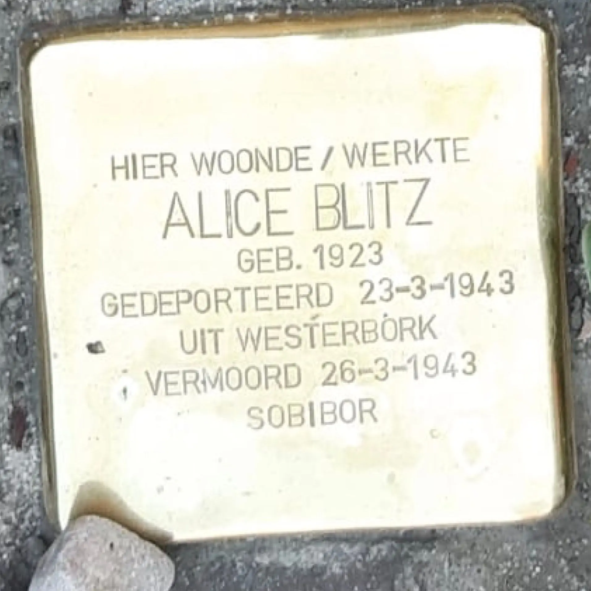 Struikelsteen voor Alice Blitz