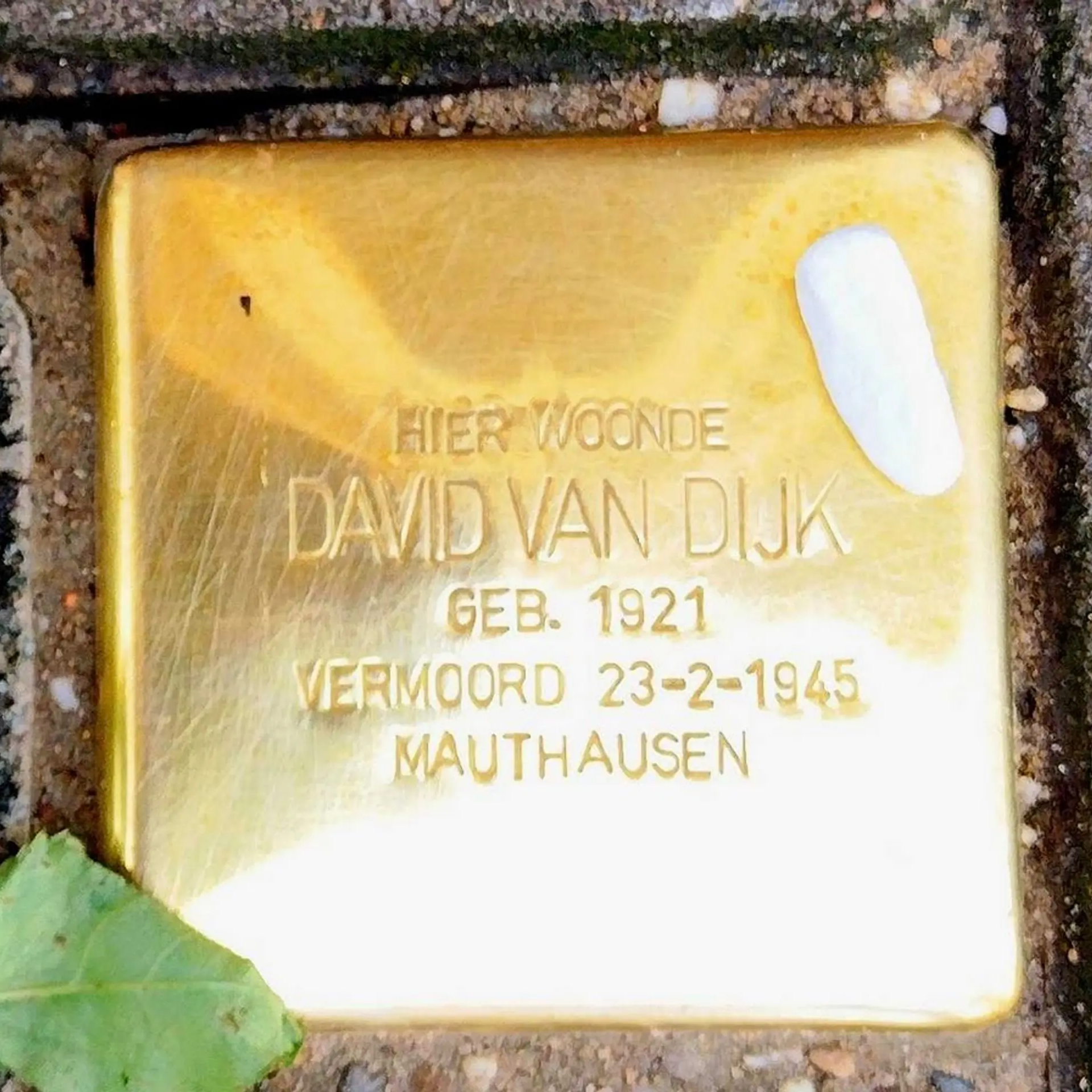 Struikelsteen voor David van Dijk