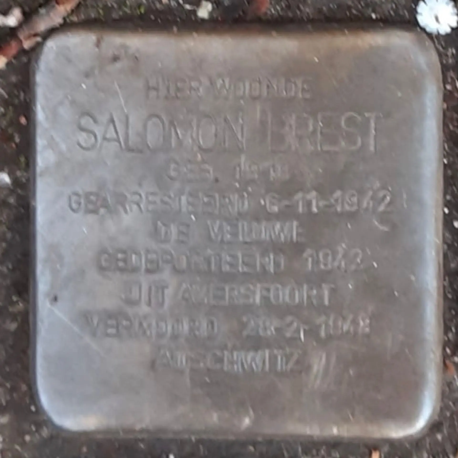 Struikelsteen voor Salomon Brest