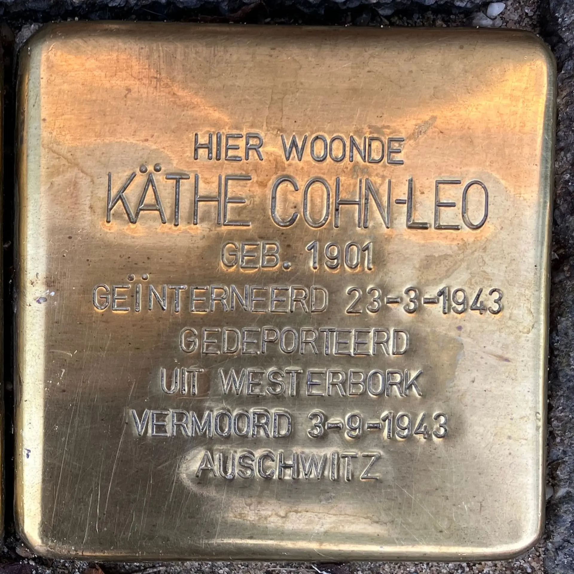 Struikelsteen voor Käthe Cohn-Leo