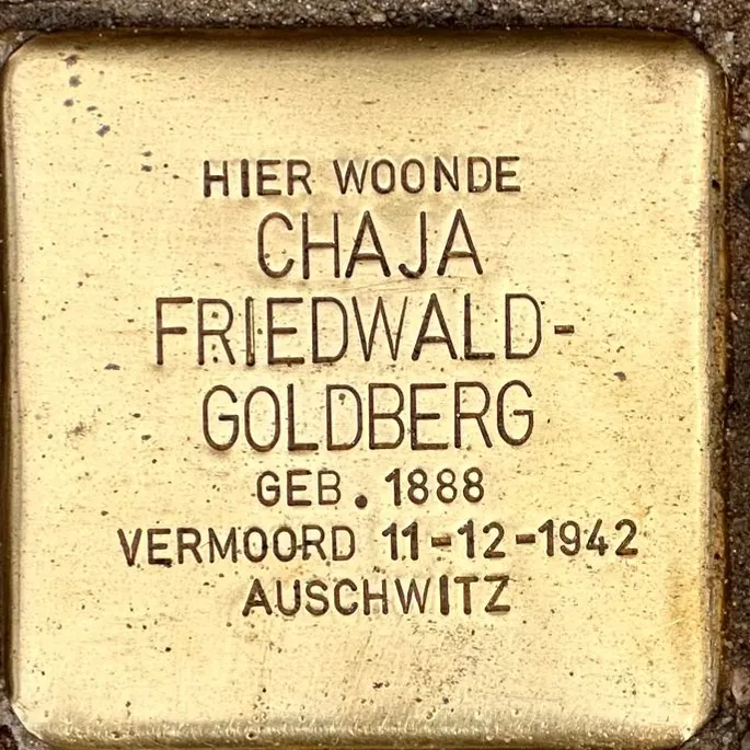 Struikelsteen voor Chaja Friedwald-Goldberg
