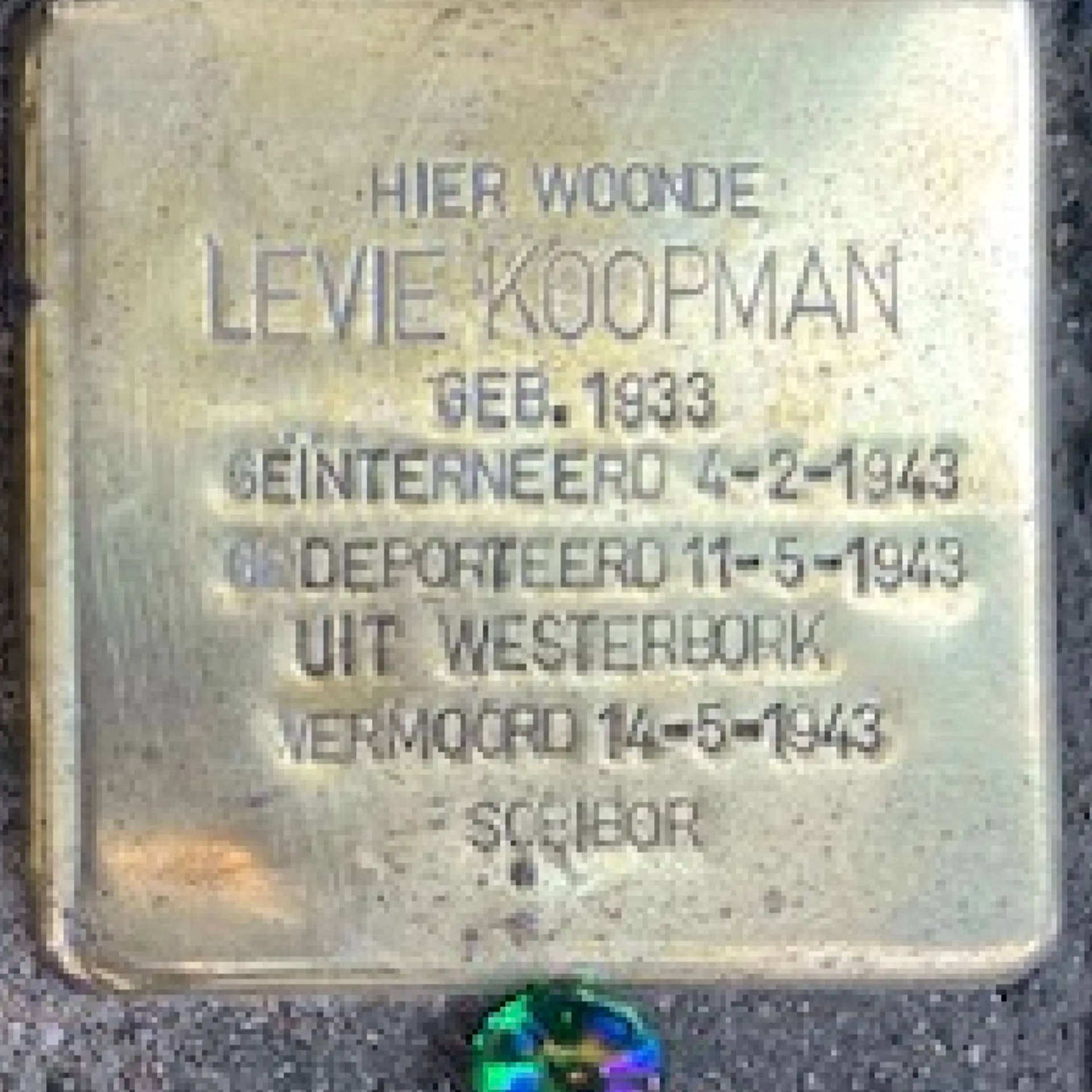 Struikelsteen voor Levie Koopman