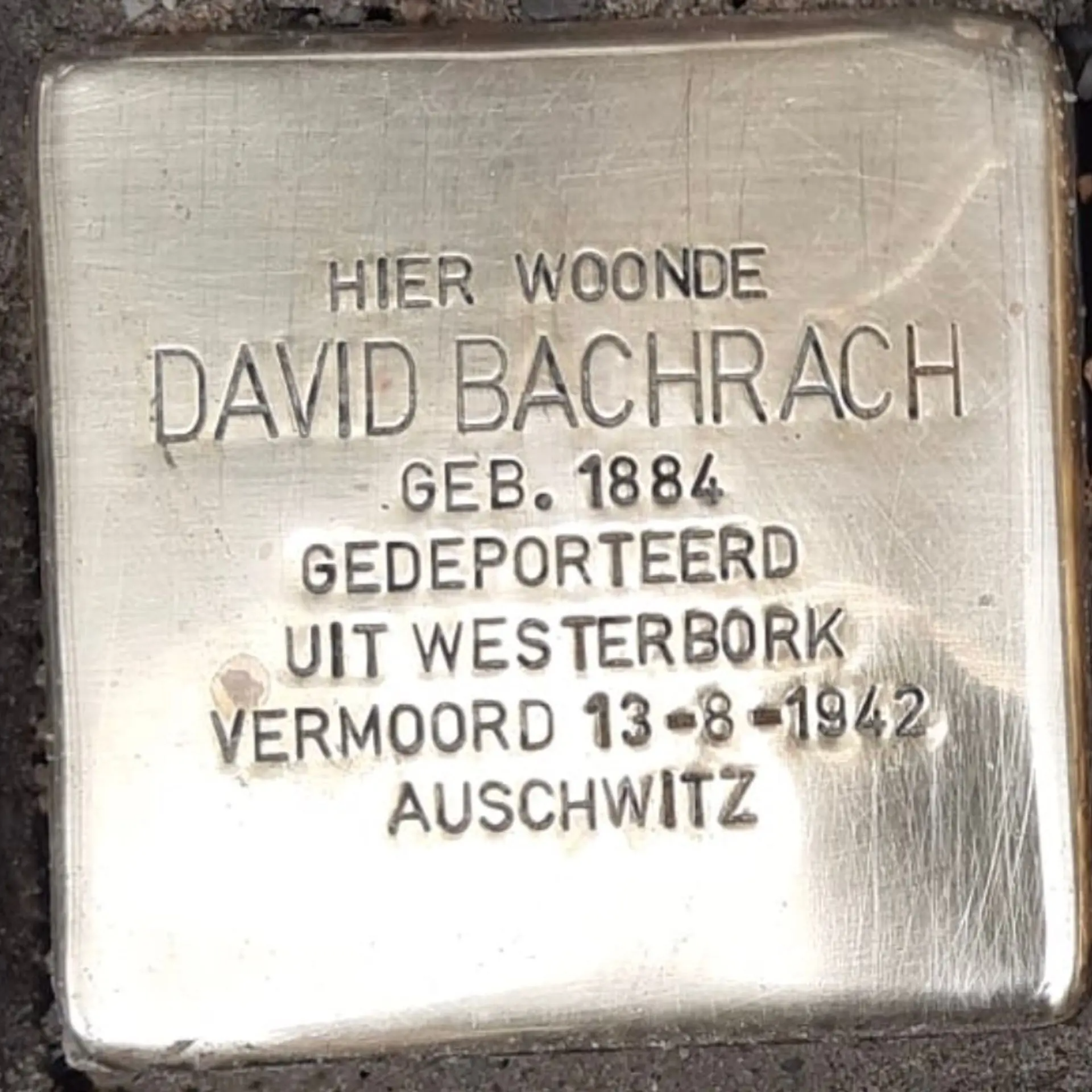 Struikelsteen voor David Bachrach