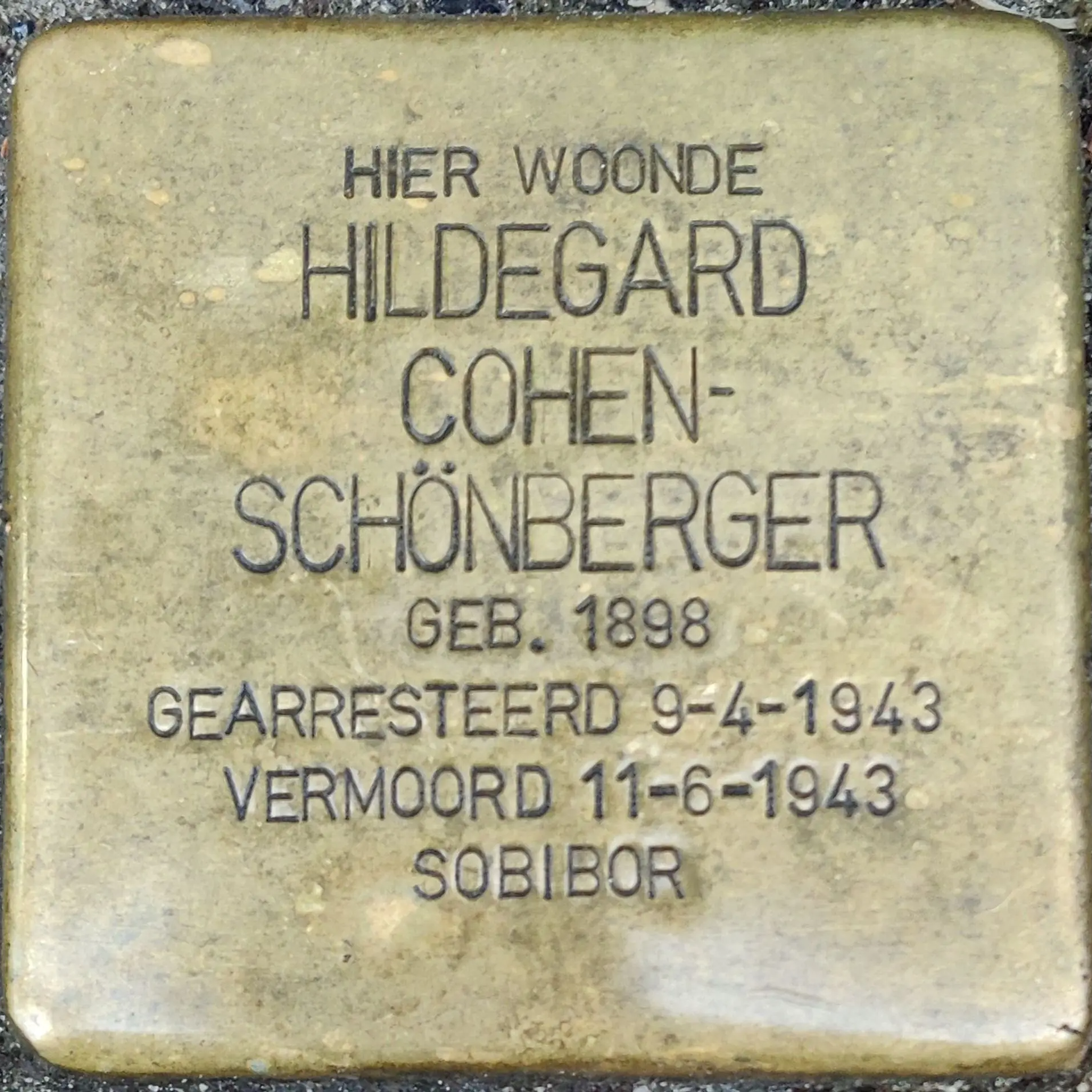 Struikelsteen voor Hildegard Cohen-Schönberger