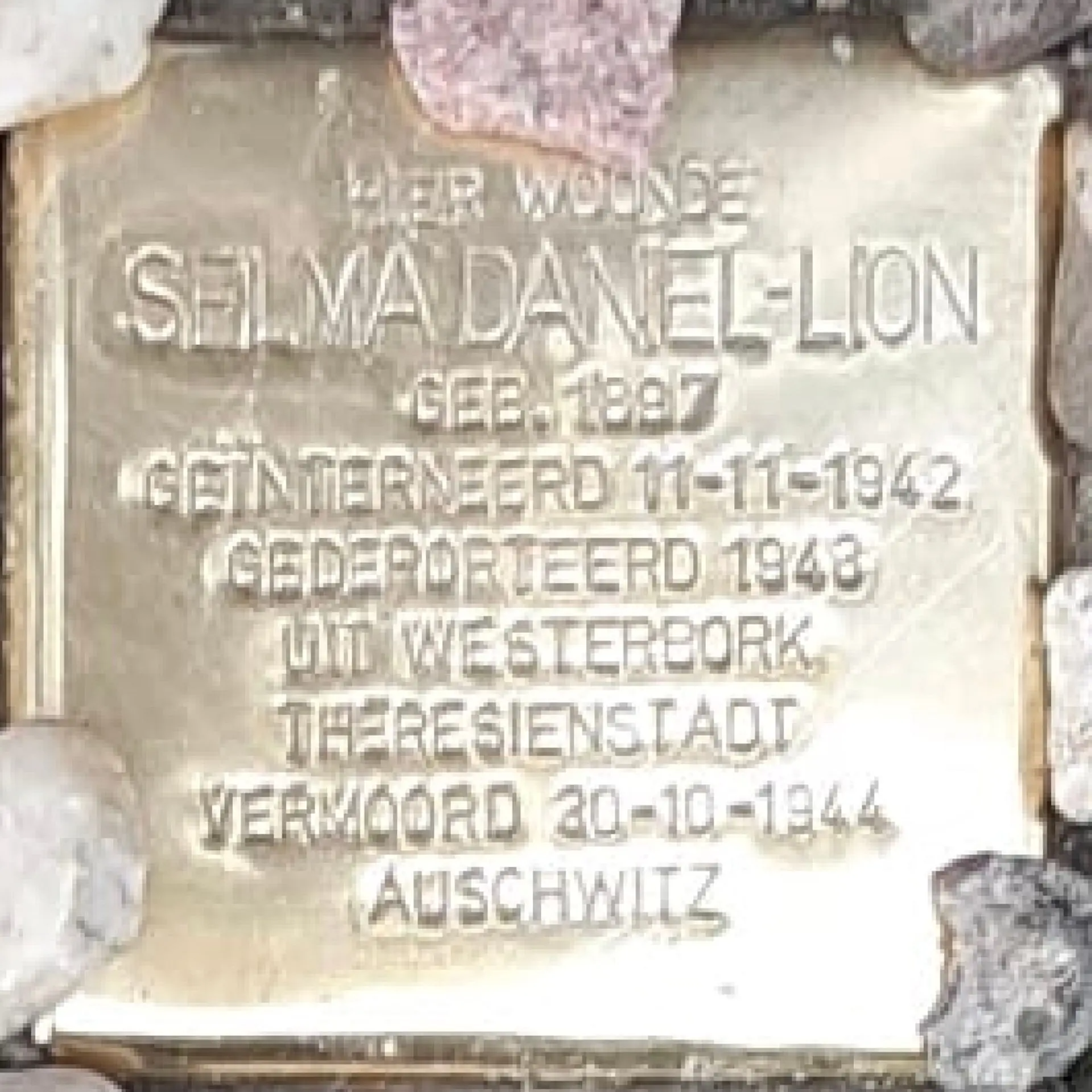 Struikelsteen voor Selma Daniel-Lion