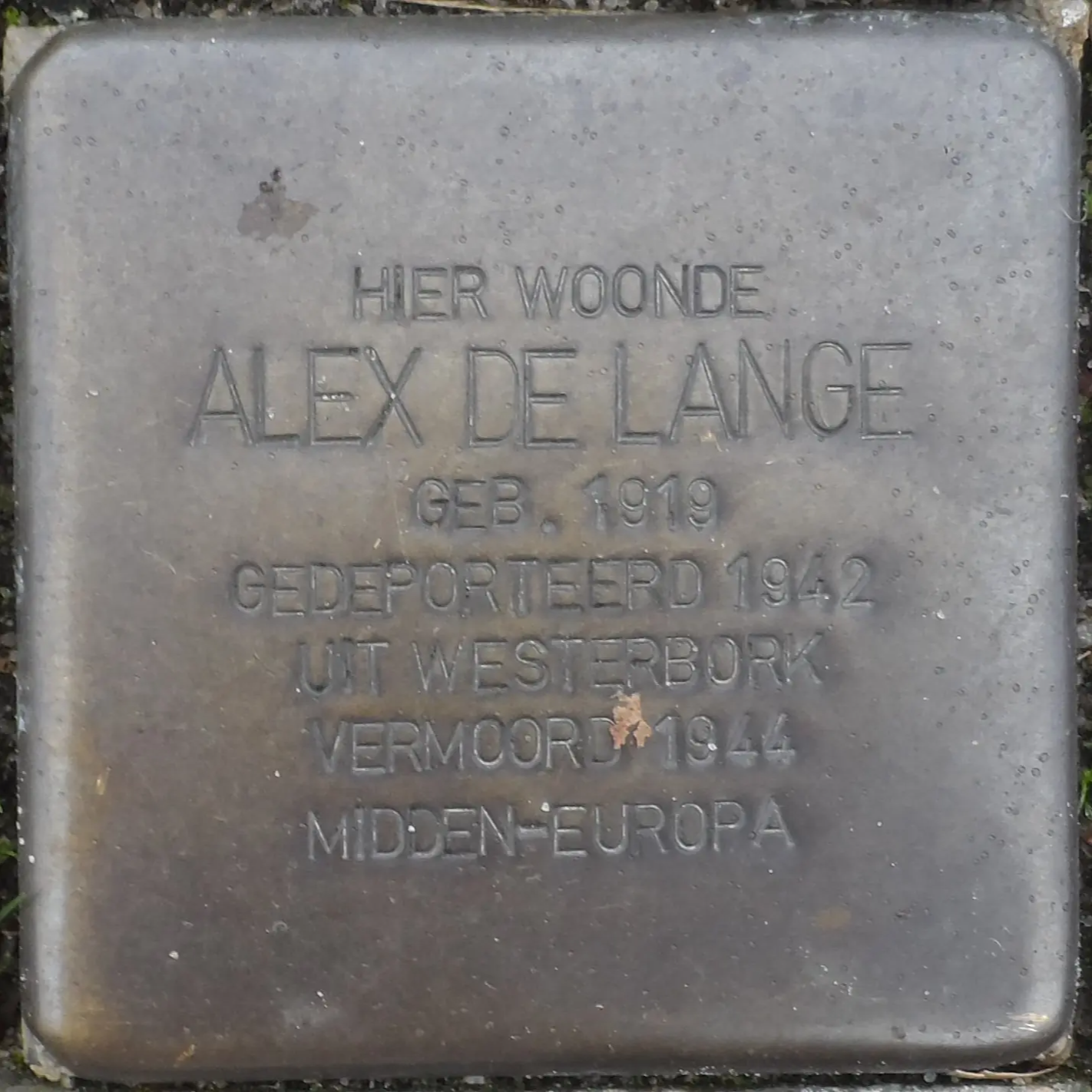 Struikelsteen voor Alex de Lange