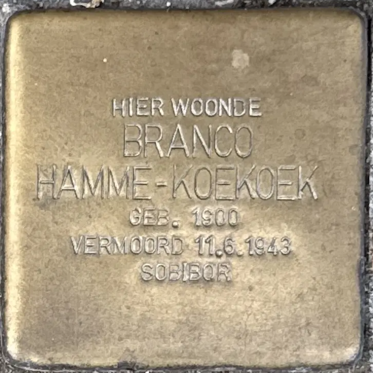 Struikelsteen voor Branco Hamme-Koekoek