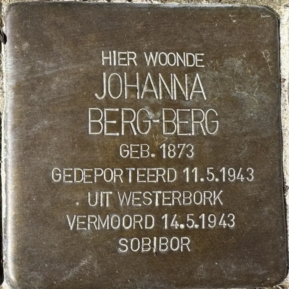 Struikelsteen voor Johanna Berg-Berg