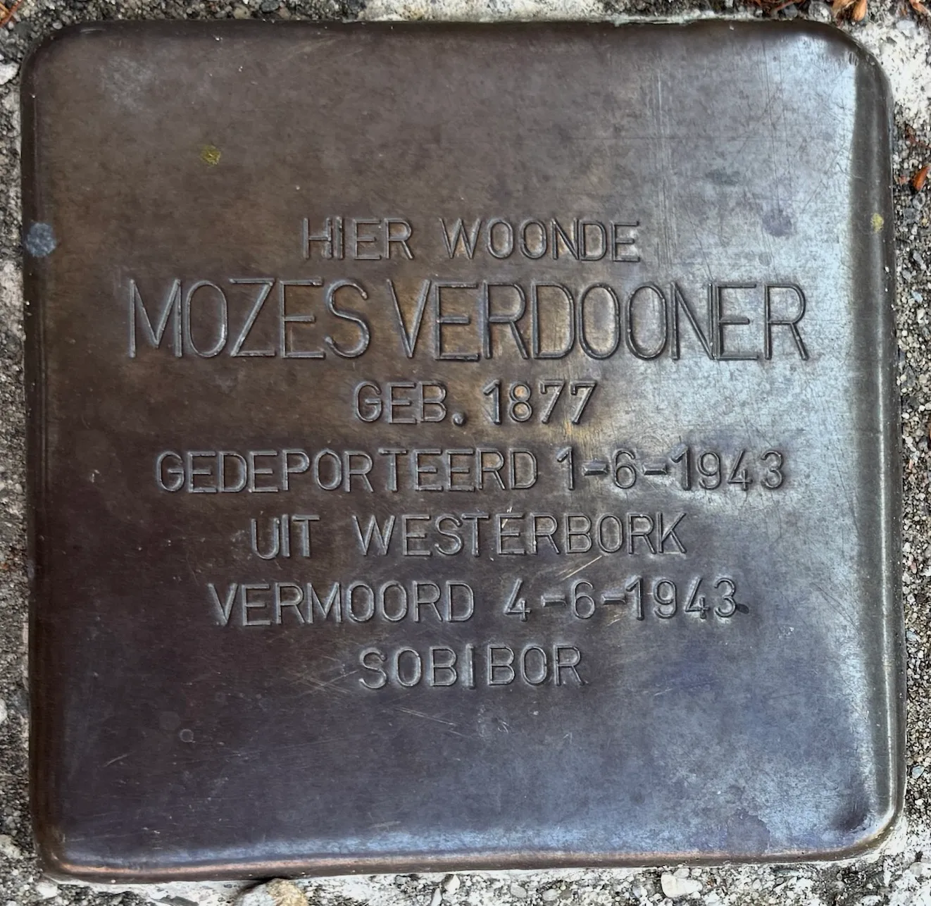 Struikelsteen voor Mozes Verdoonerj