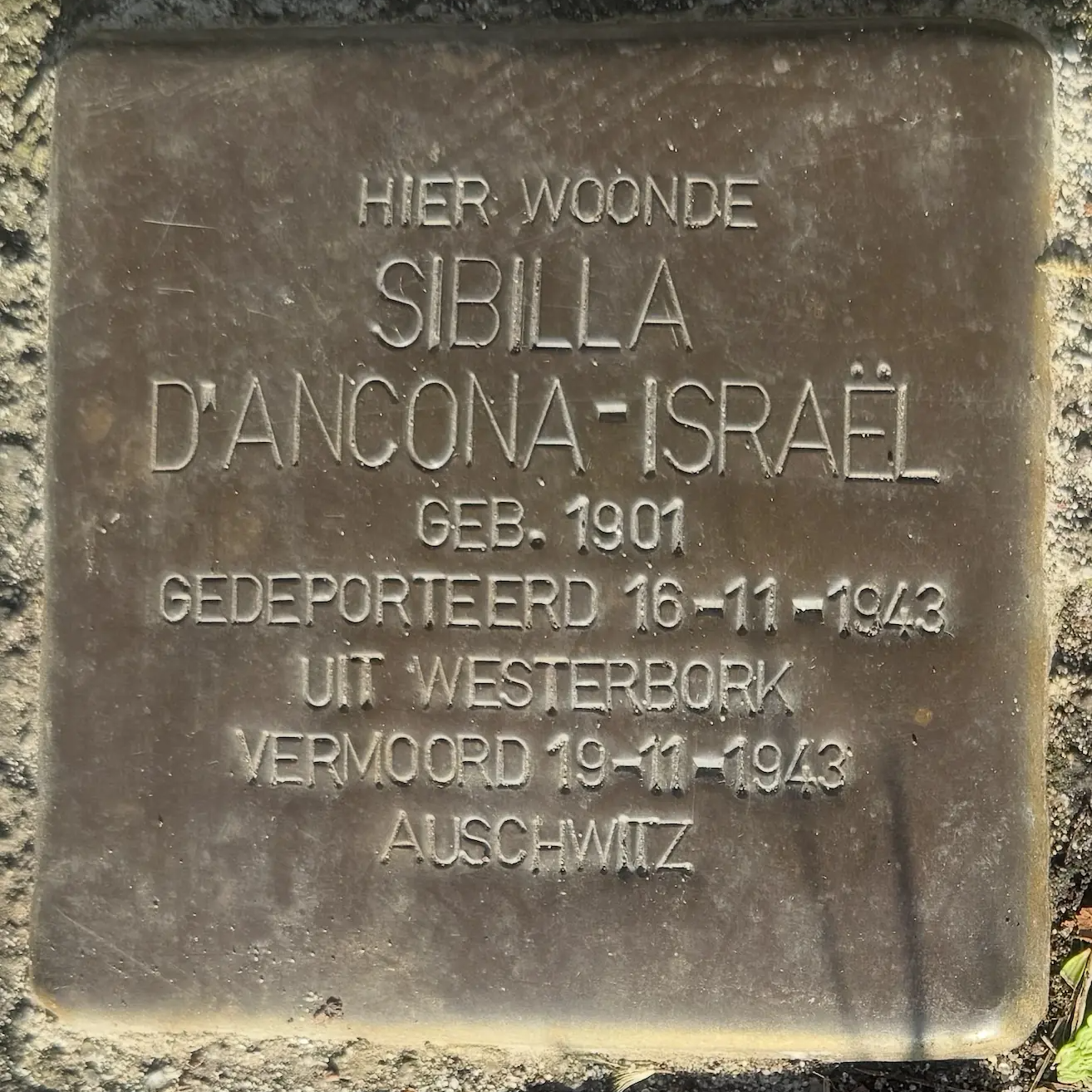 Struikelsteen voor Sibilla d' Ancona-Israel