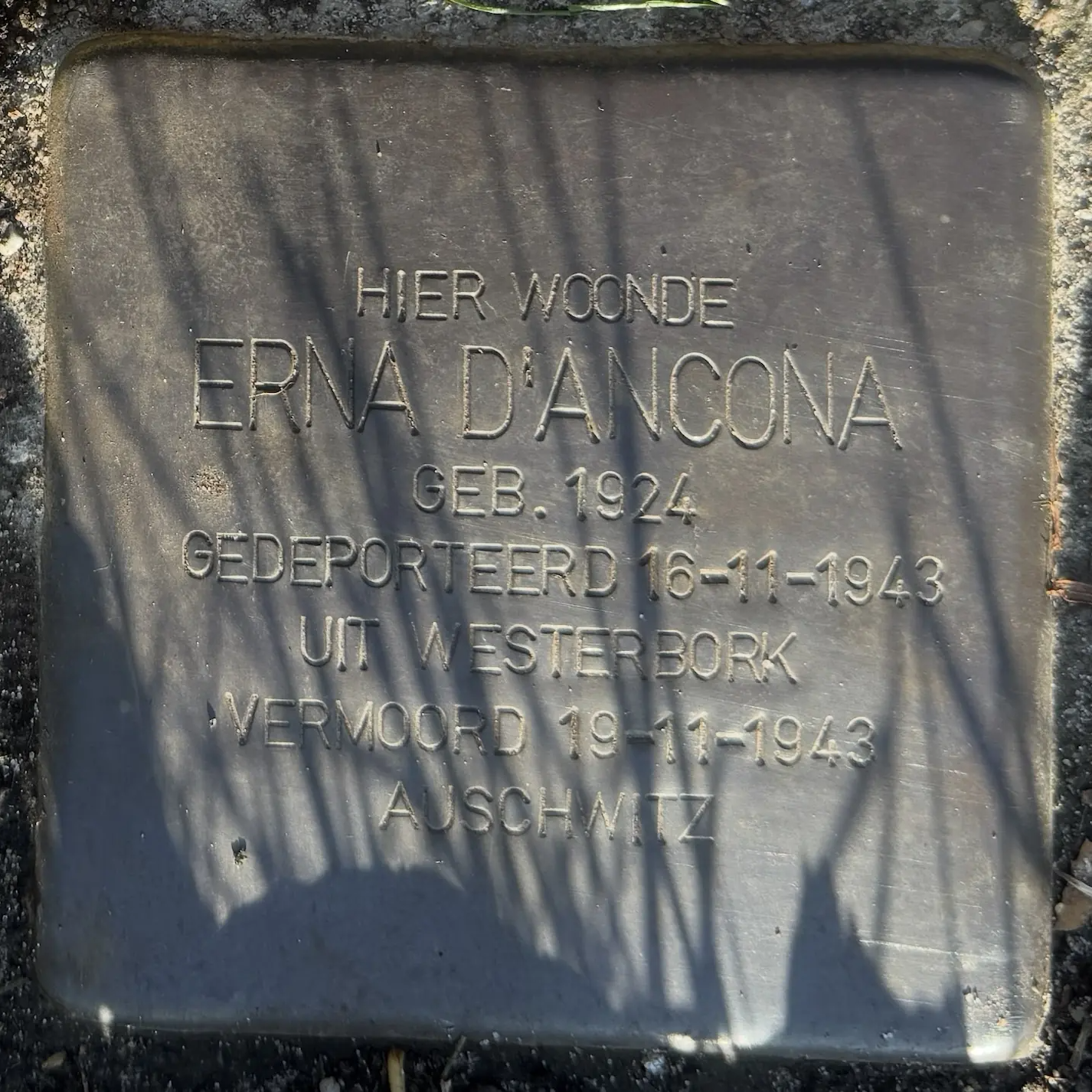 Struikelsteen voor Erna d' Ancona