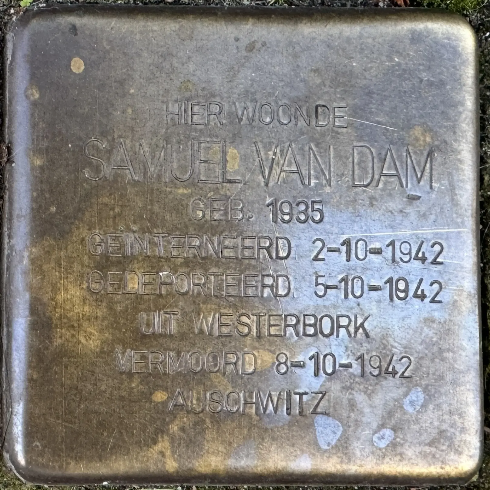 Struikelsteen voor Samuel van Dam