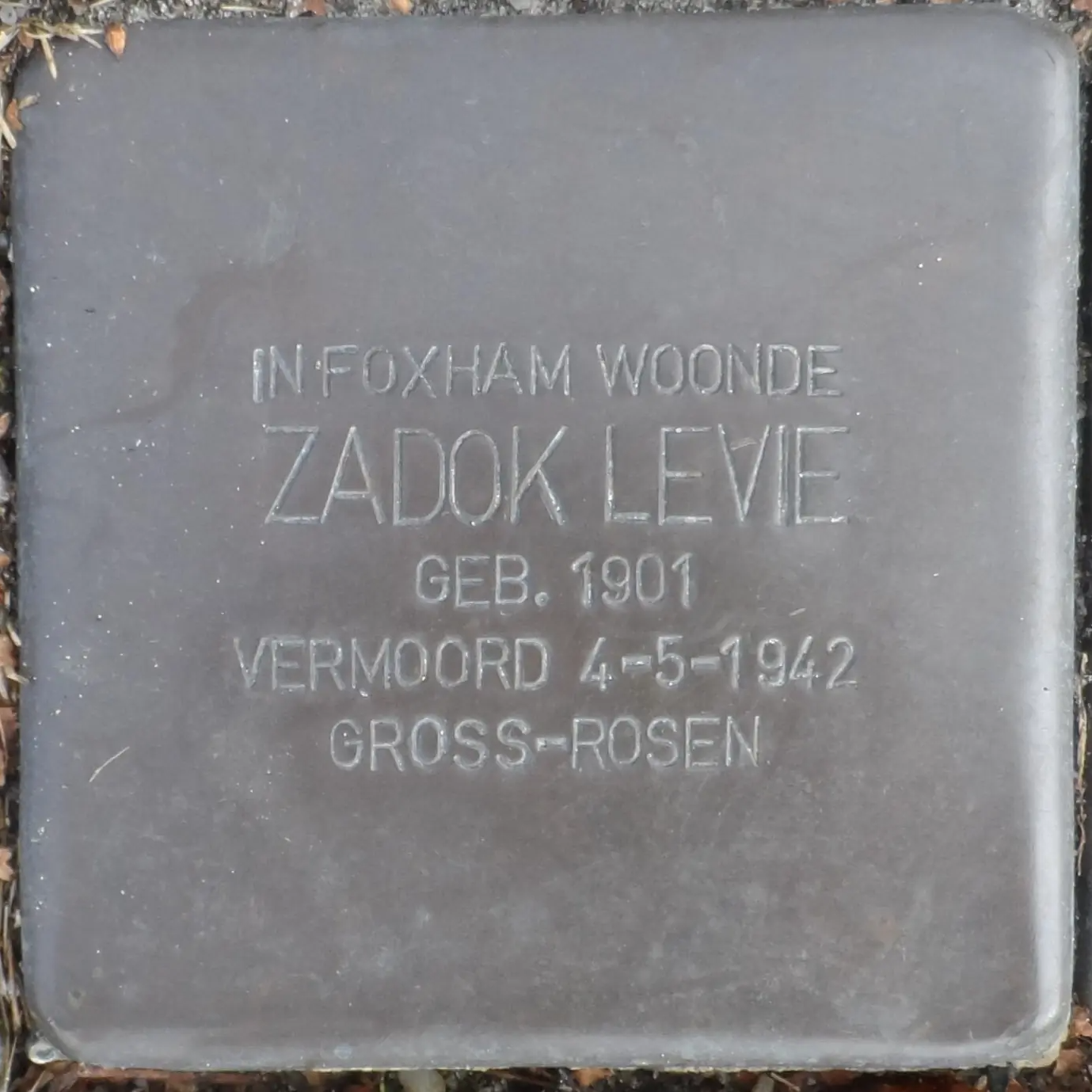 Struikelsteen voor Zadok Levie