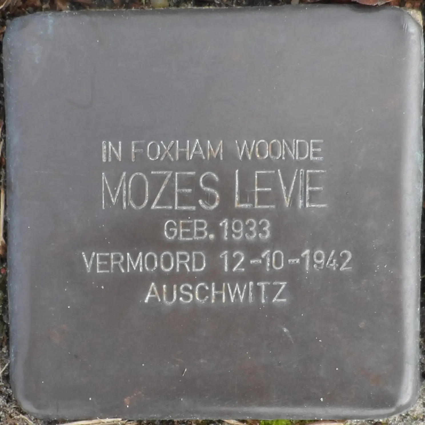 Struikelsteen voor Mozes Levie