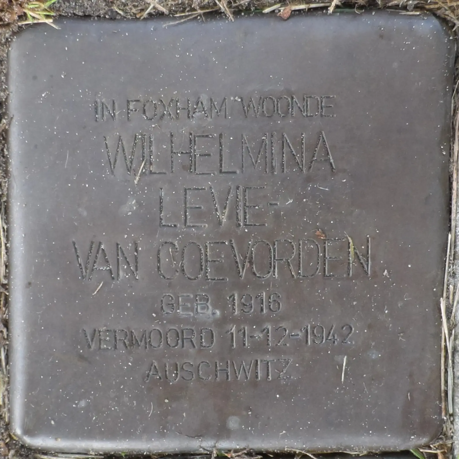 Struikelsteen voor Wilhelmina Levie-van Coevorden