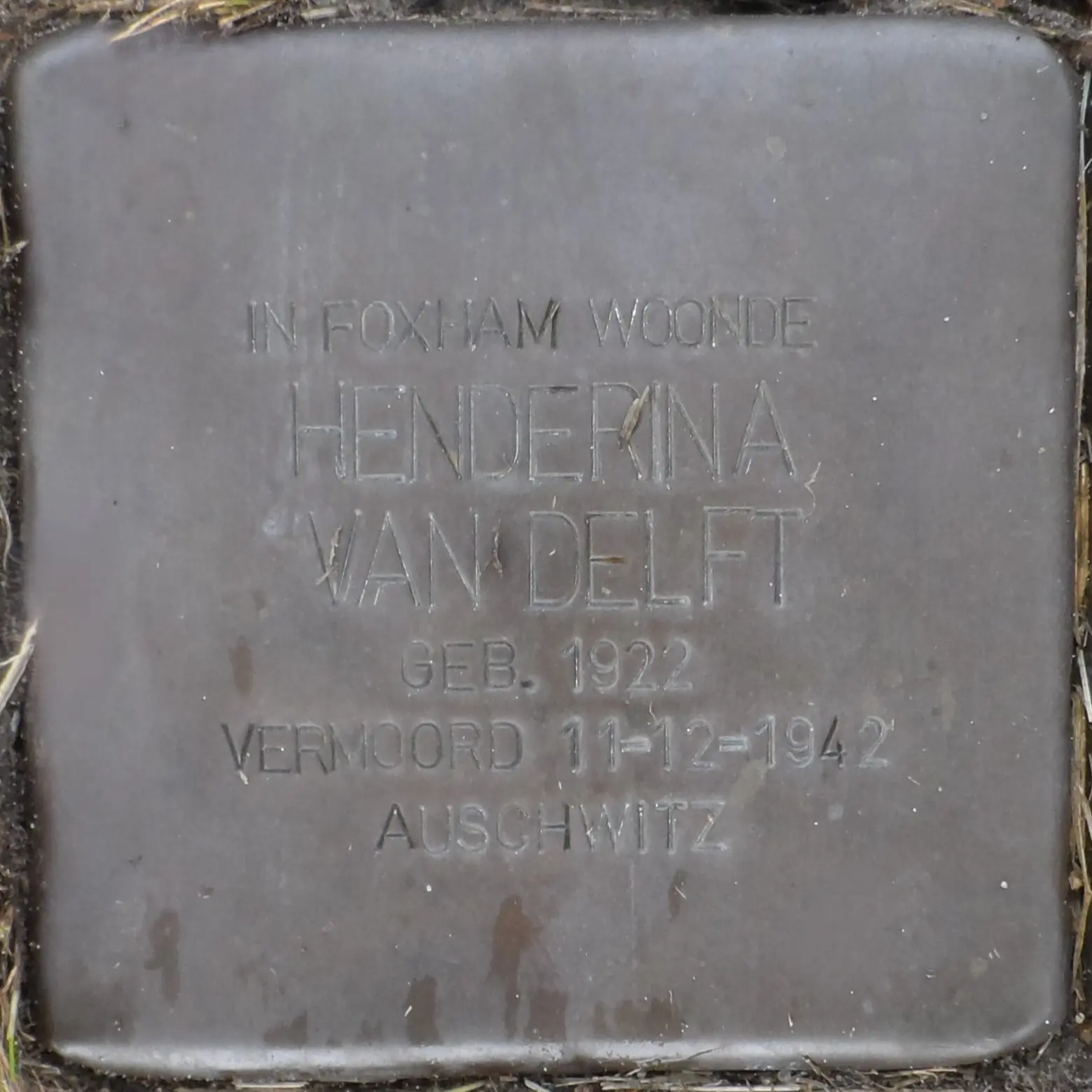 Struikelsteen voor Henderina van Delft