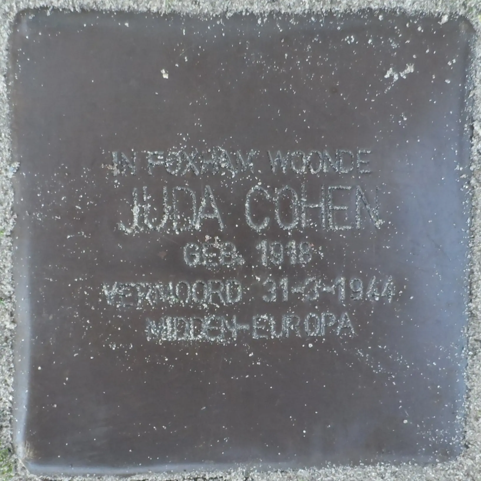 Struikelsteen voor Juda Cohen