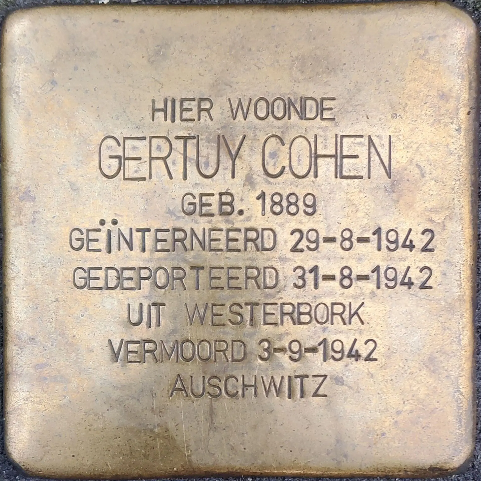 Struikelsteen voor Gertruij Cohen