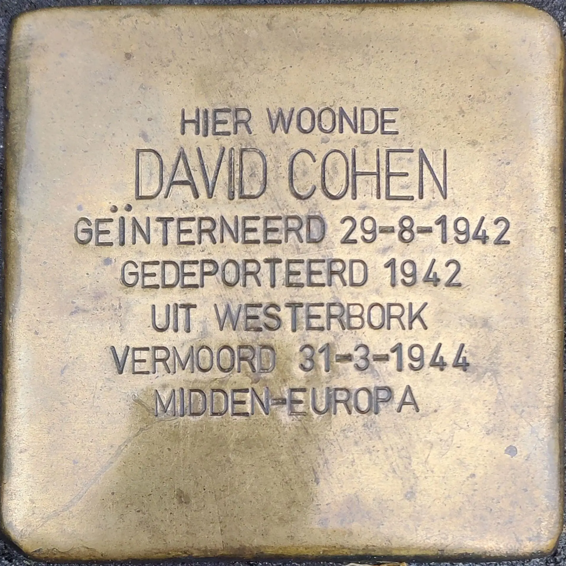 Struikelsteen voor David Cohen