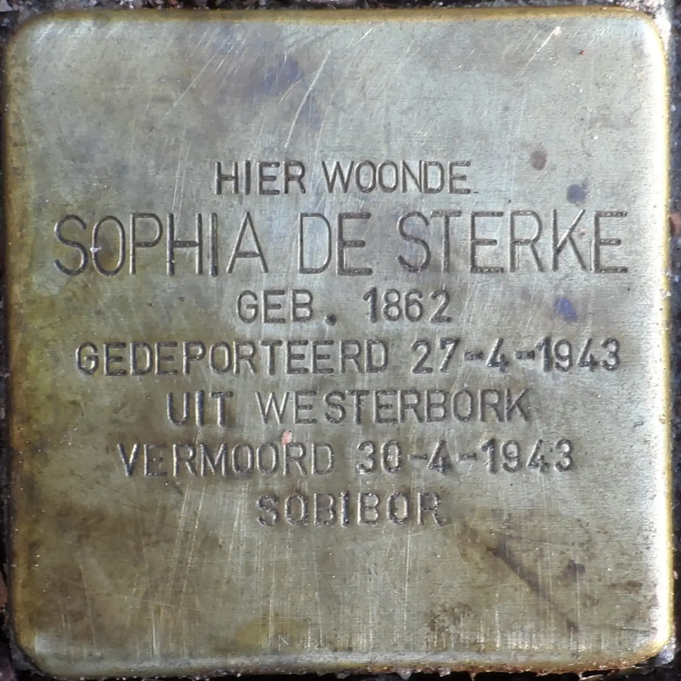 Struikelsteen voor Sophia de Sterke