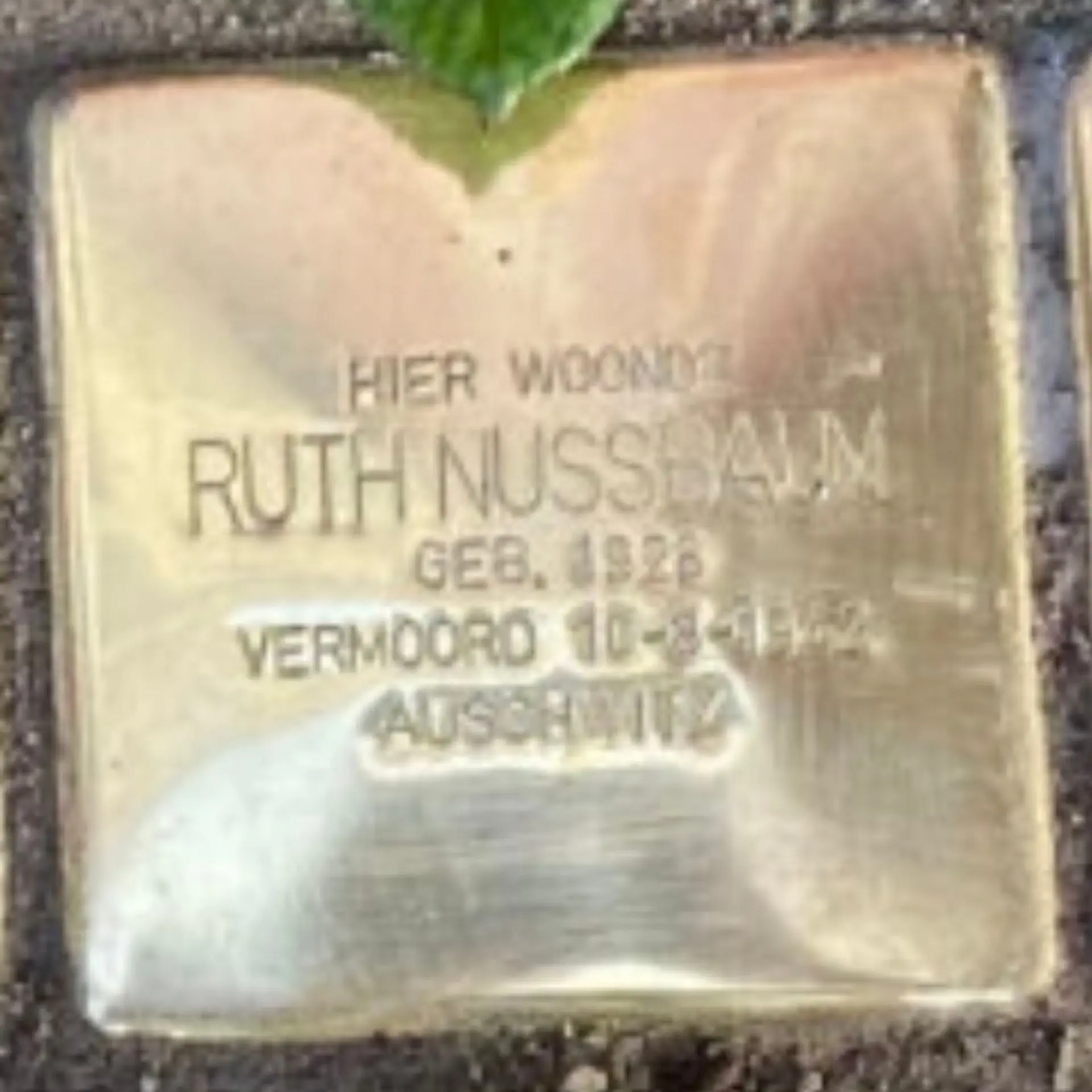 Struikelsteen voor Ruth Nussbaum