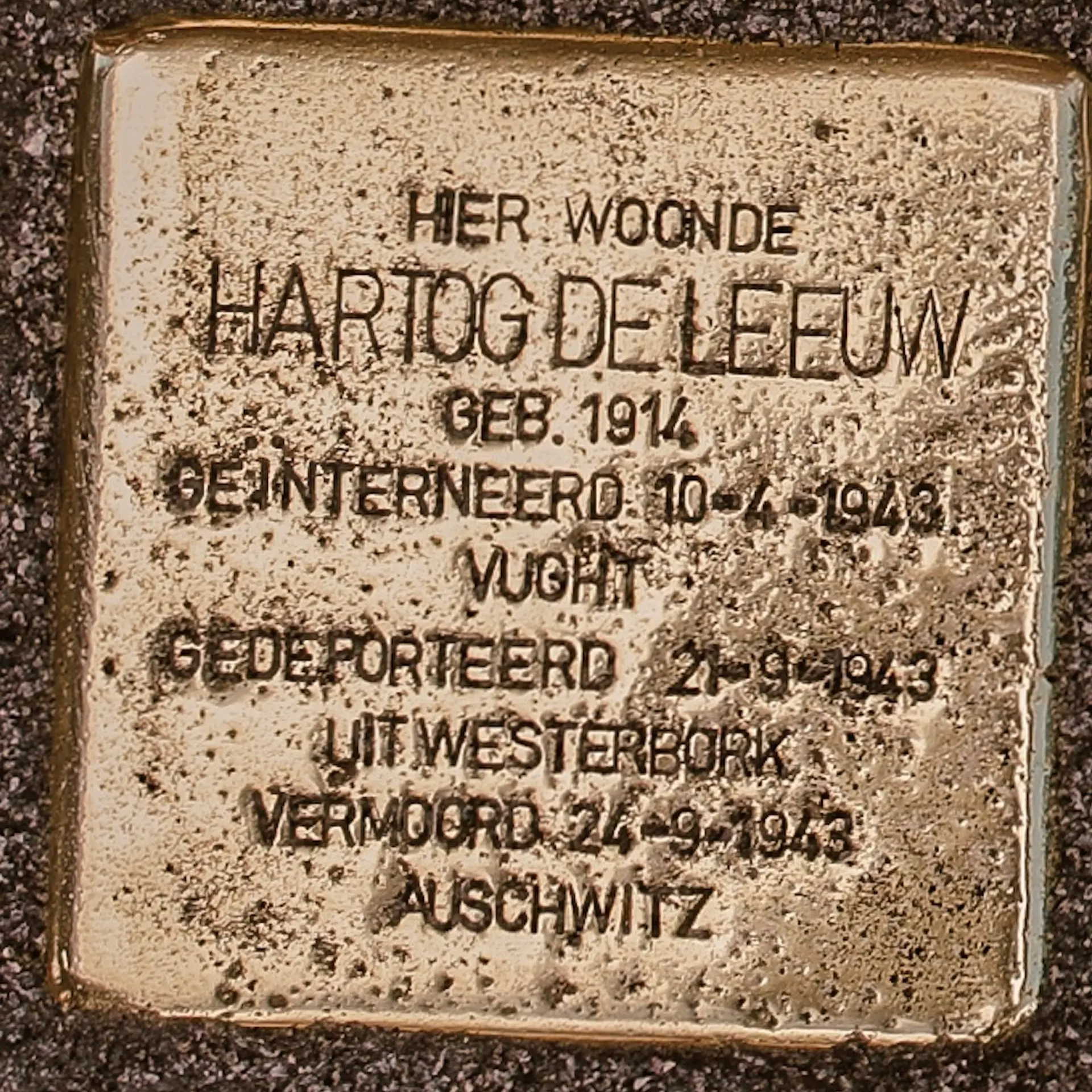 Struikelsteen voor Hartog de Leeuw