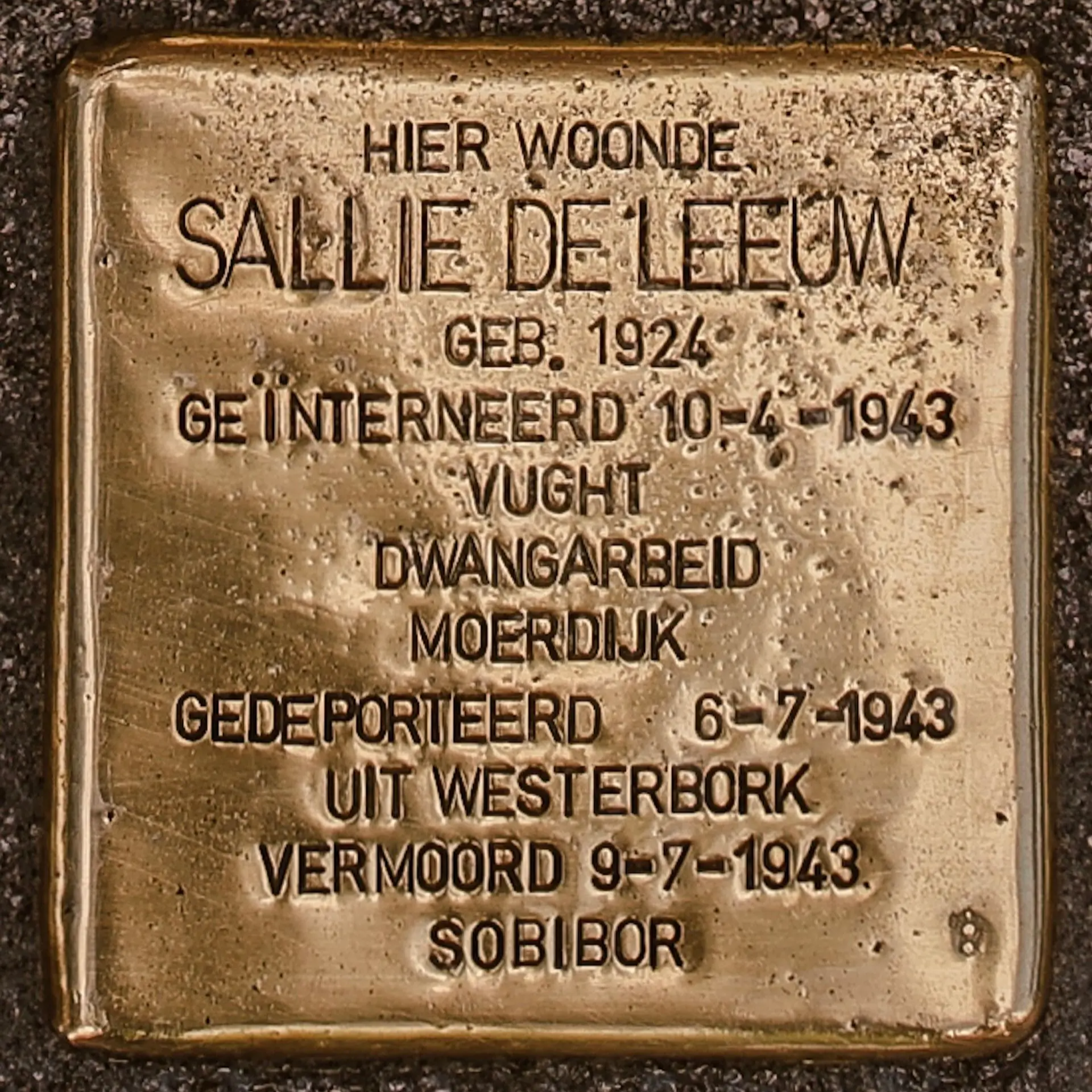 Struikelsteen voor Sallie de Leeuw