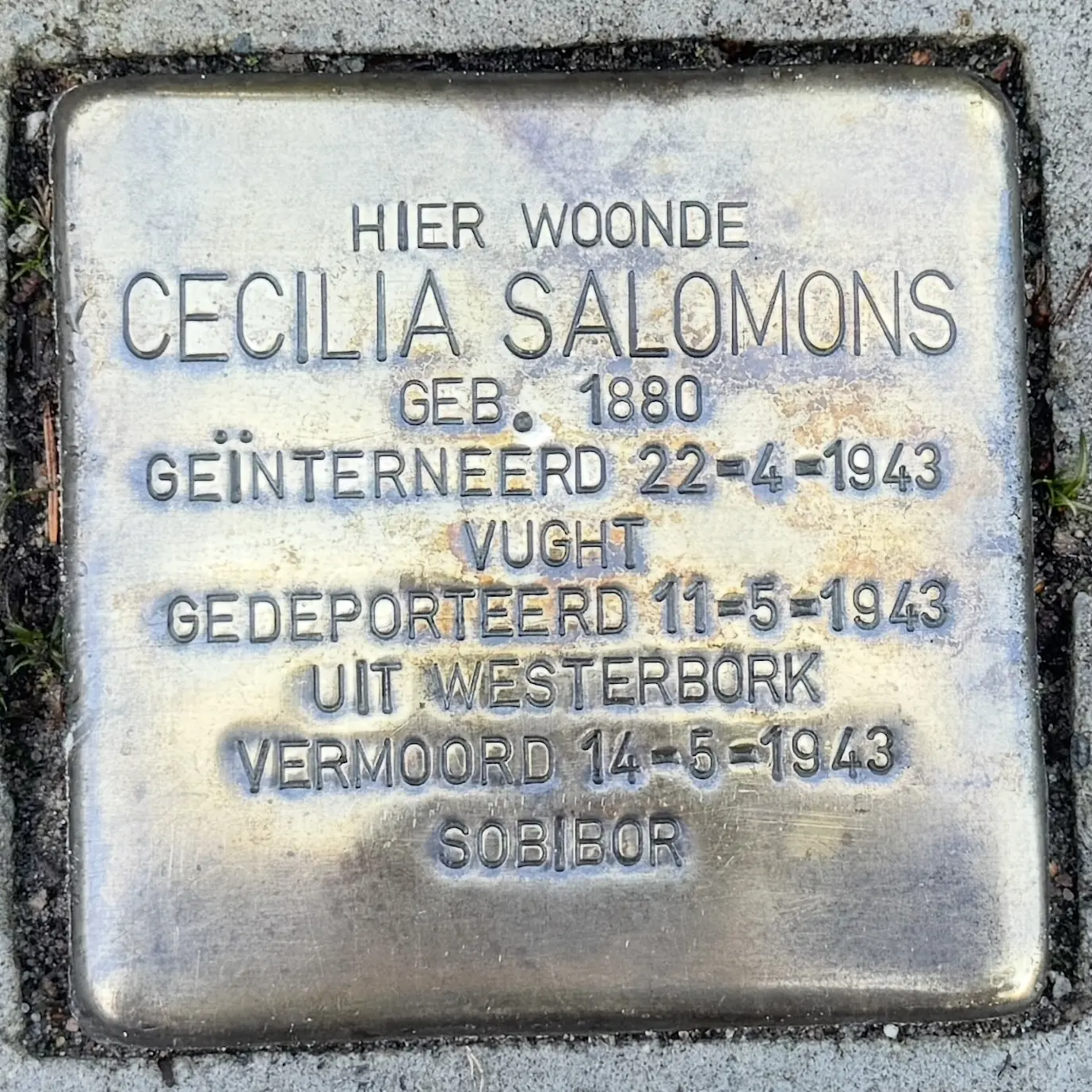 Struikelsteen voor Cecilia Salomons