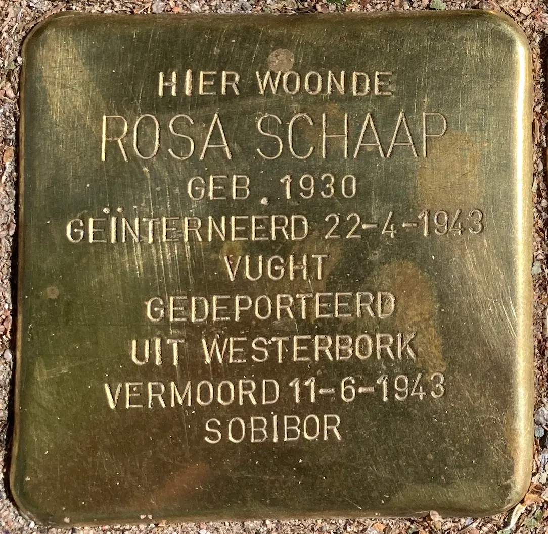 Struikelsteen voor Rosa Johanna Schaap