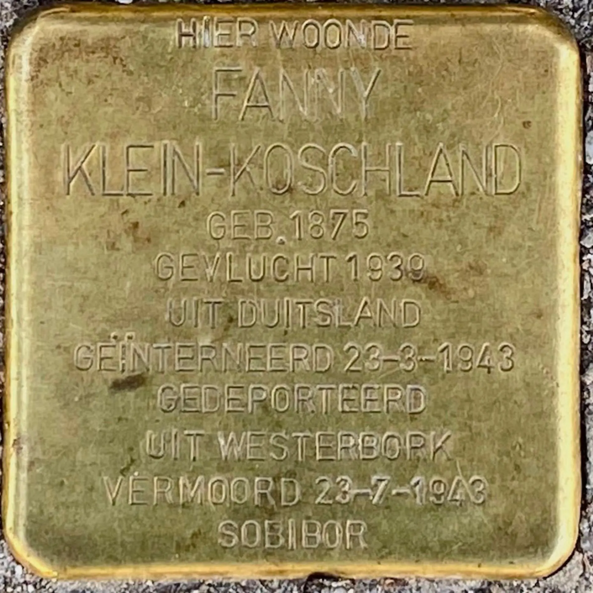 Struikelsteen voor Fanny Klein-Koschland