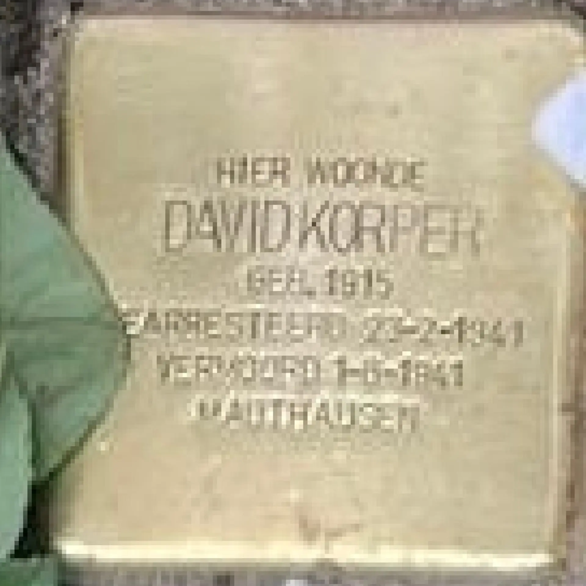 Struikelsteen voor David Korper
