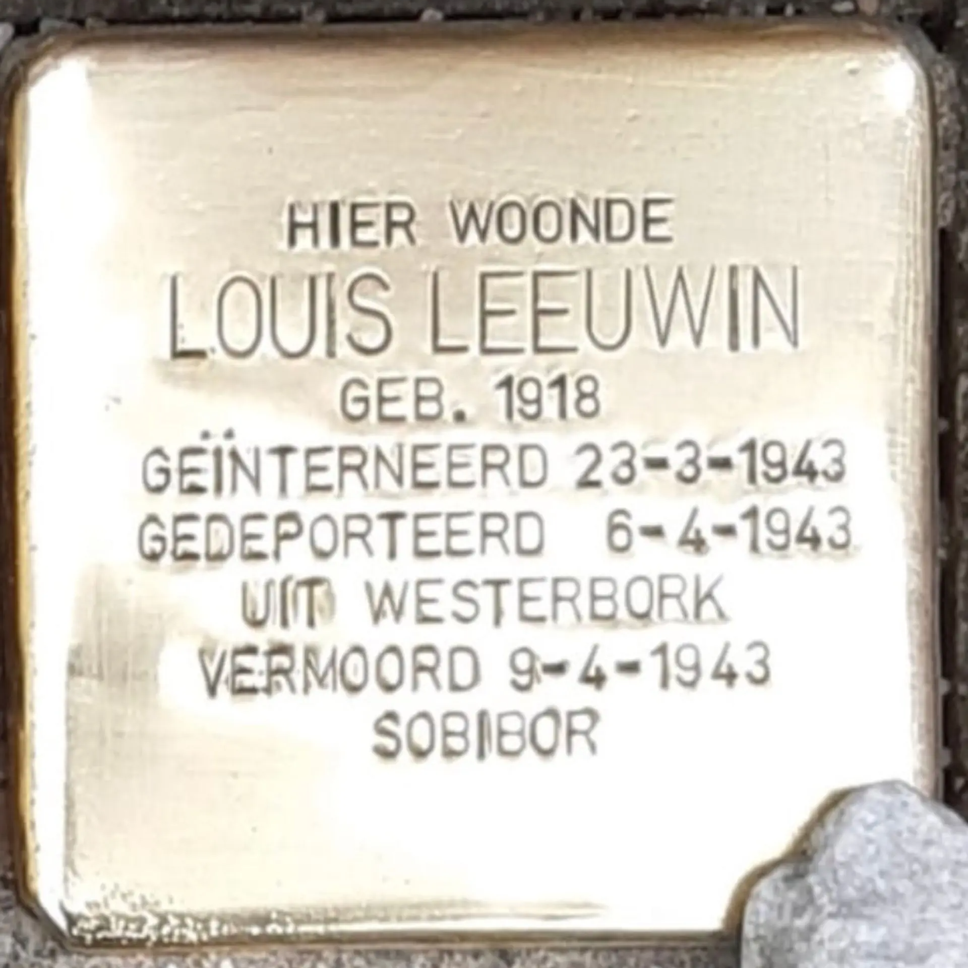 Struikelsteen voor Mozes Leeuwin