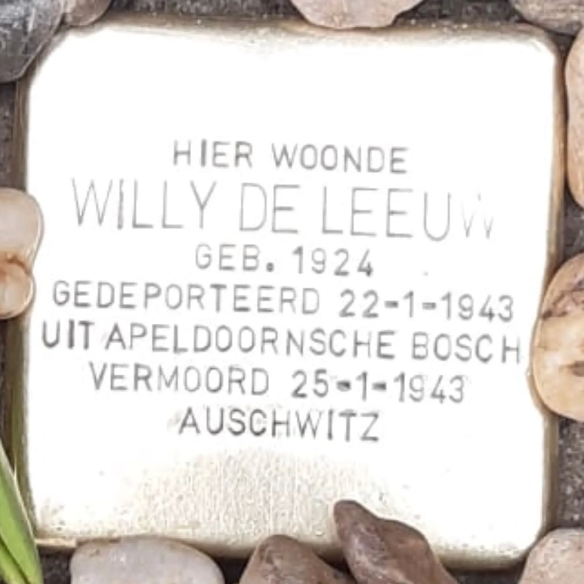 Struikelsteen voor Willy de Leeuw