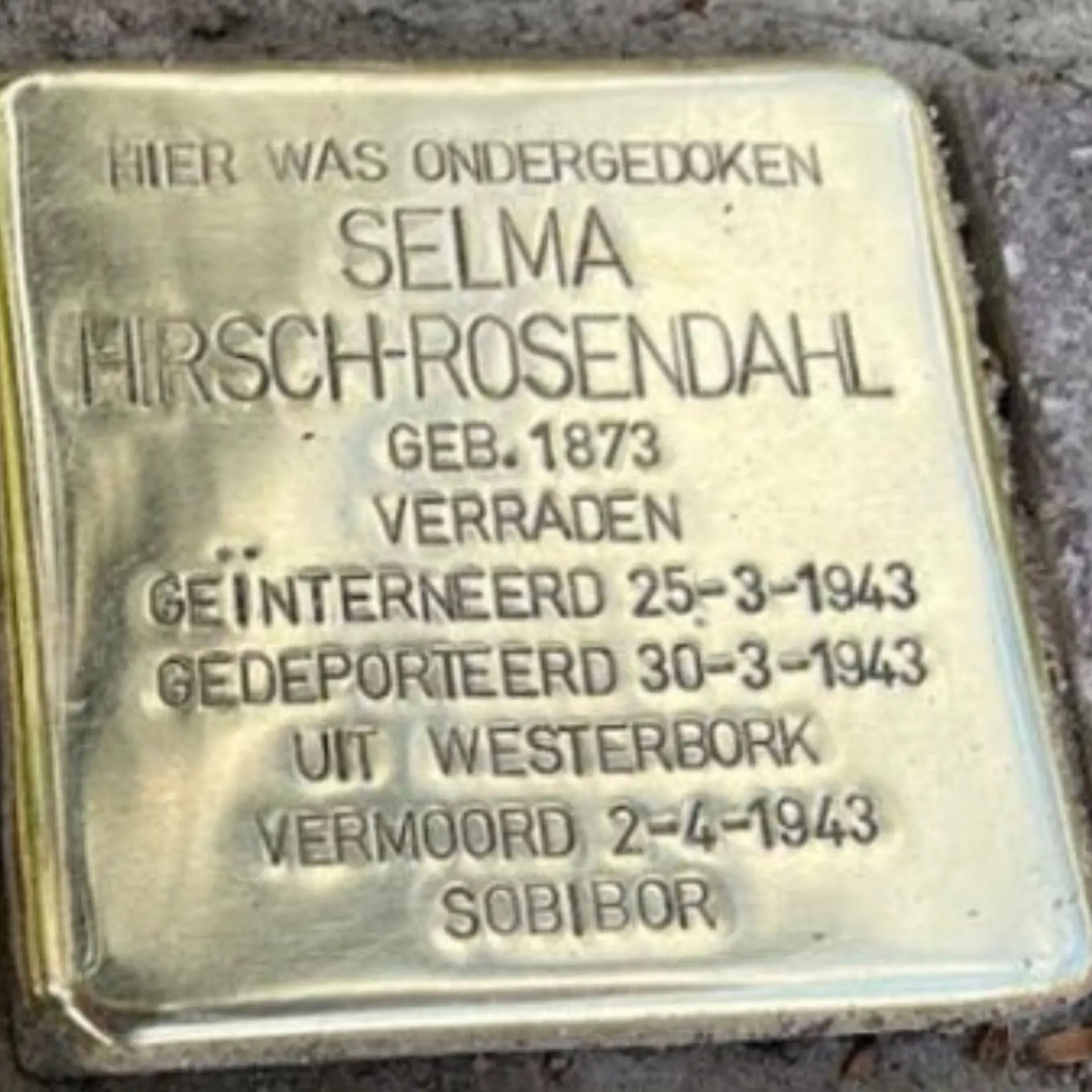 Struikelsteen voor Selma Hirsch-Rosendahl