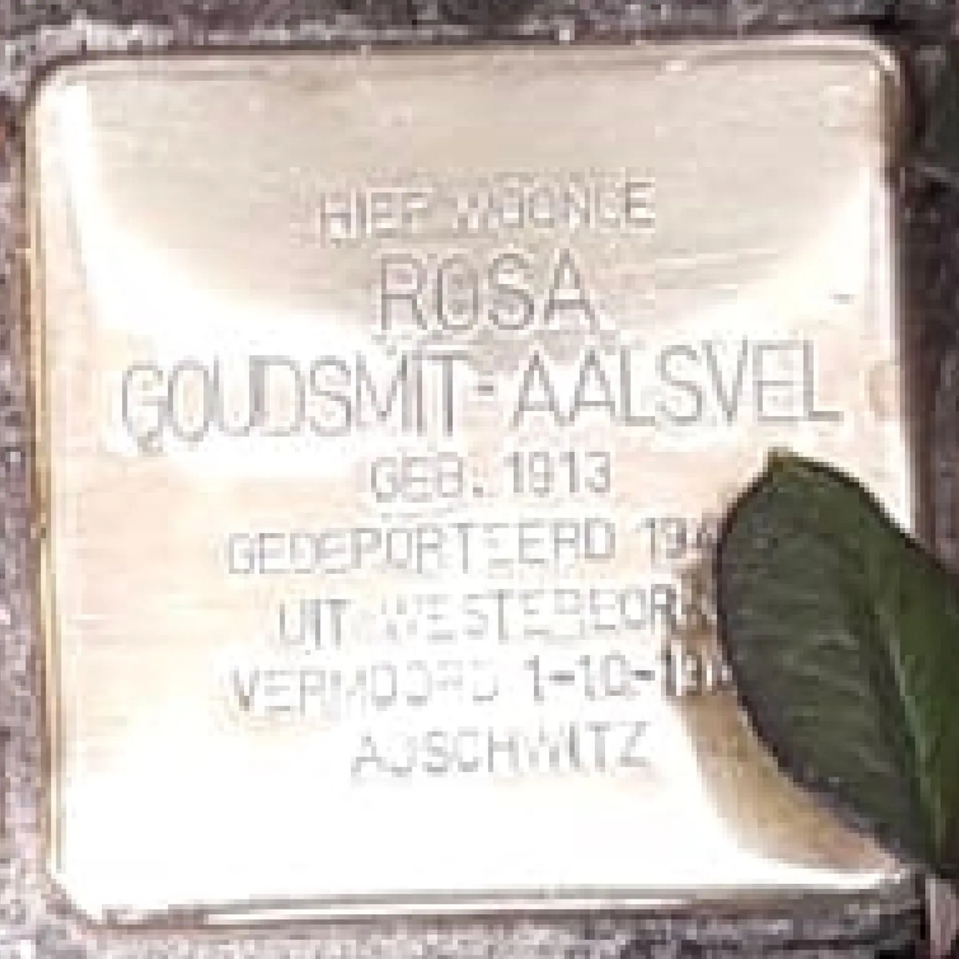 Struikelsteen voor Rosa Goudsmit-Aalsvel