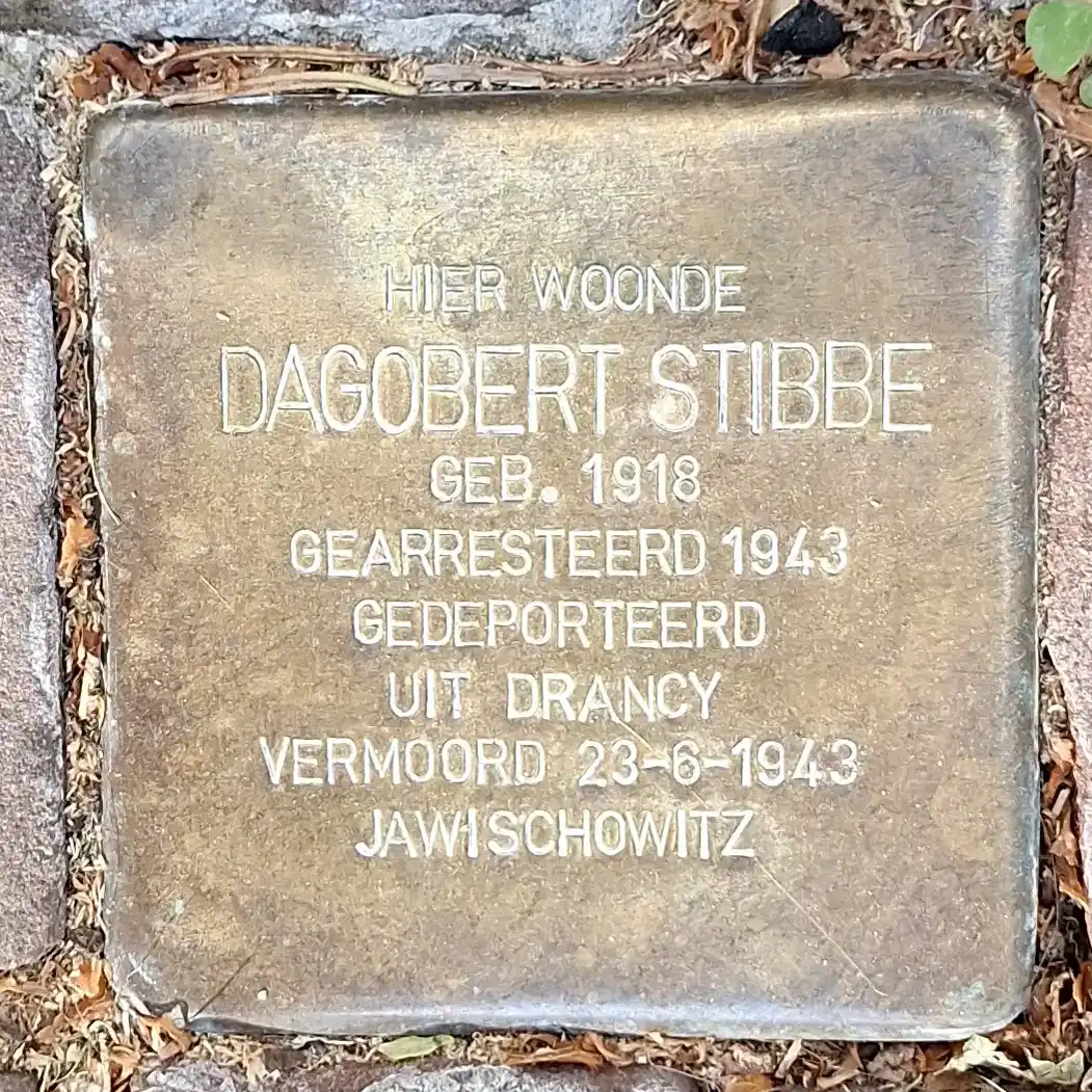 Struikelsteen voor Dagobert Stibbe