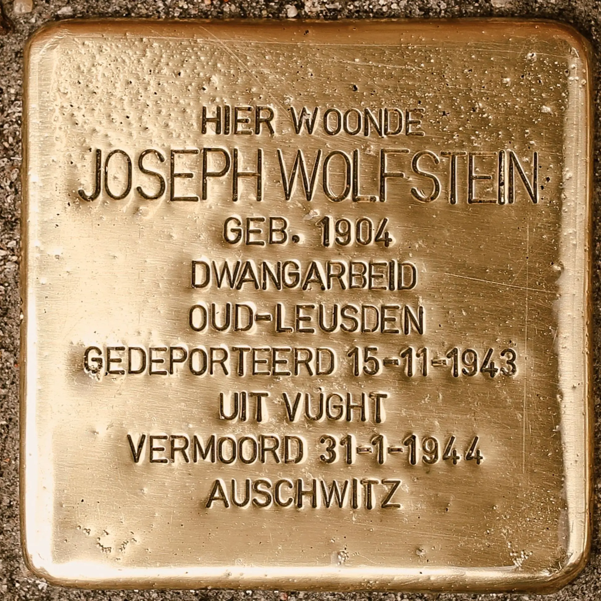 Struikelsteen voor Joseph Wolfstein