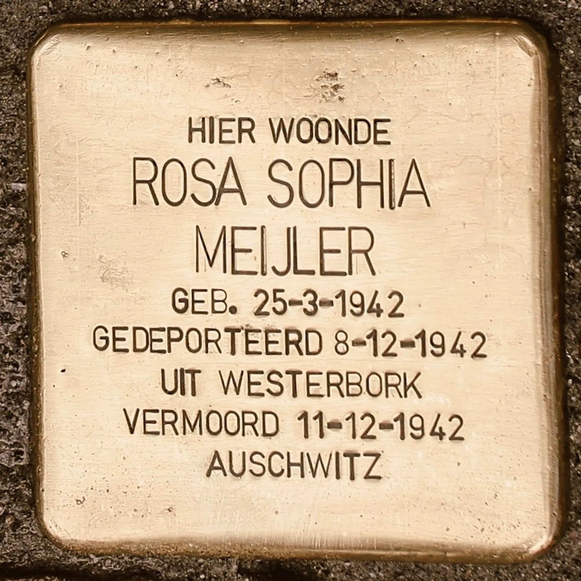 Struikelsteen voor Rosa Sophia Meijler