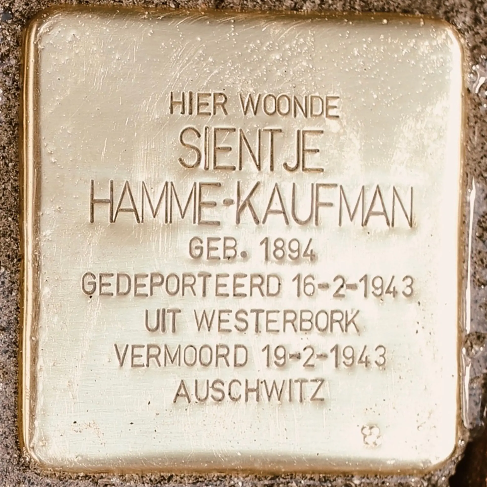 Struikelsteen voor Sientje Hamme-Kaufman