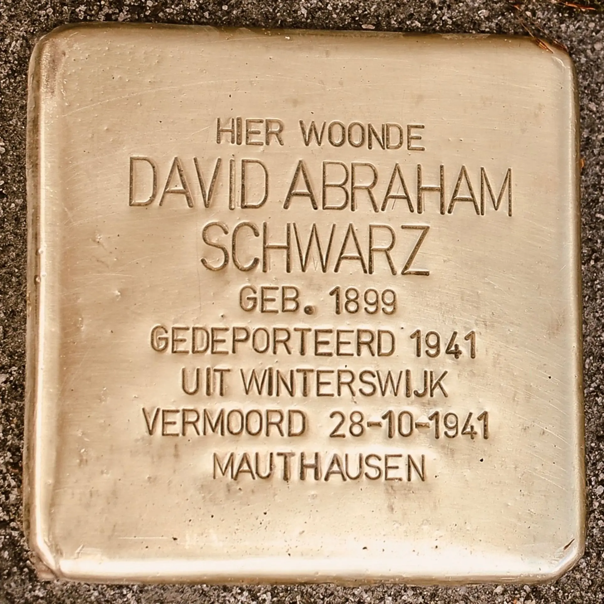 Struikelsteen voor David Abraham Schwarz