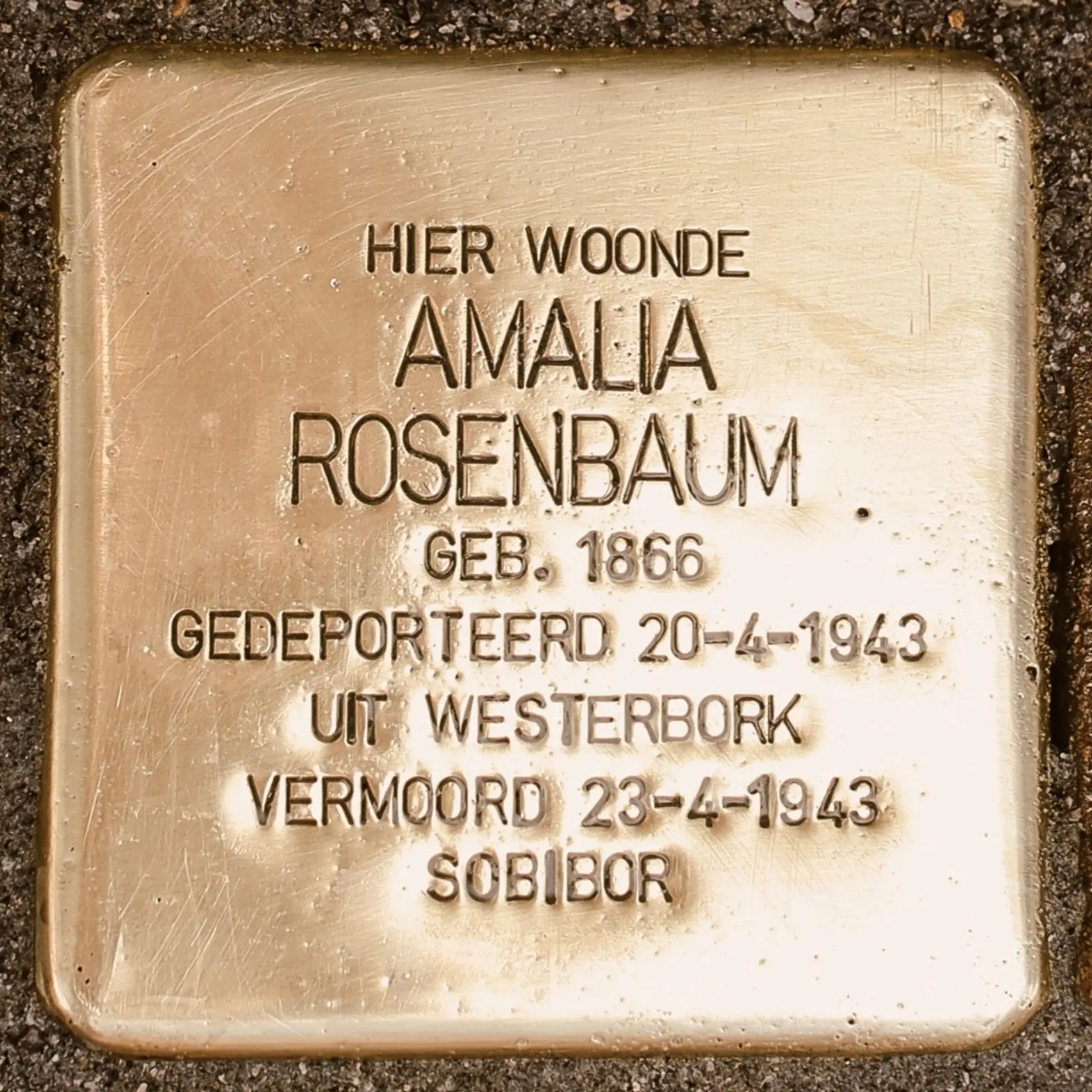Struikelsteen voor Amalia Rosenbaum
